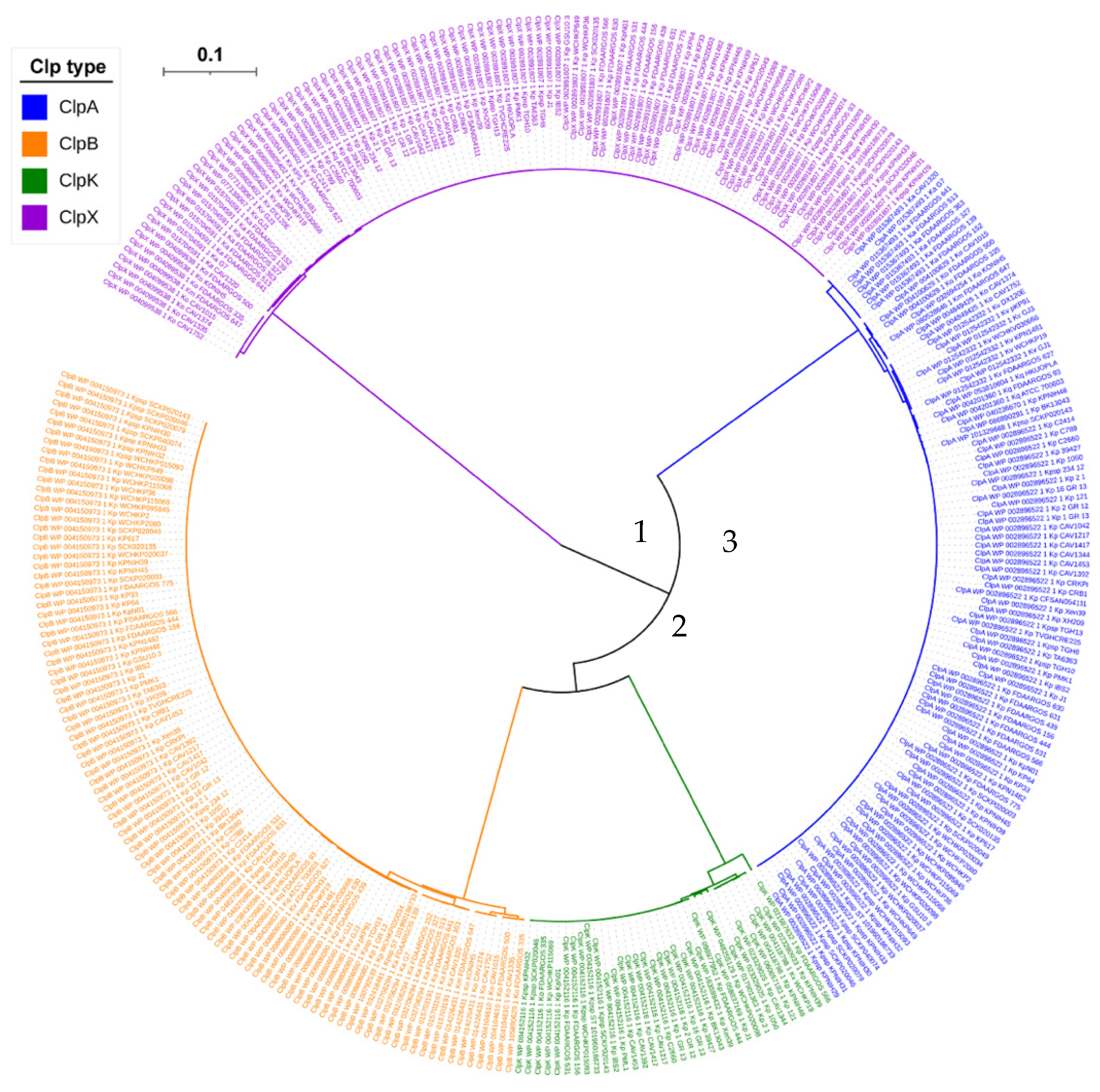 Molecules 27 00200 g004 Molecules 27 00200 g004