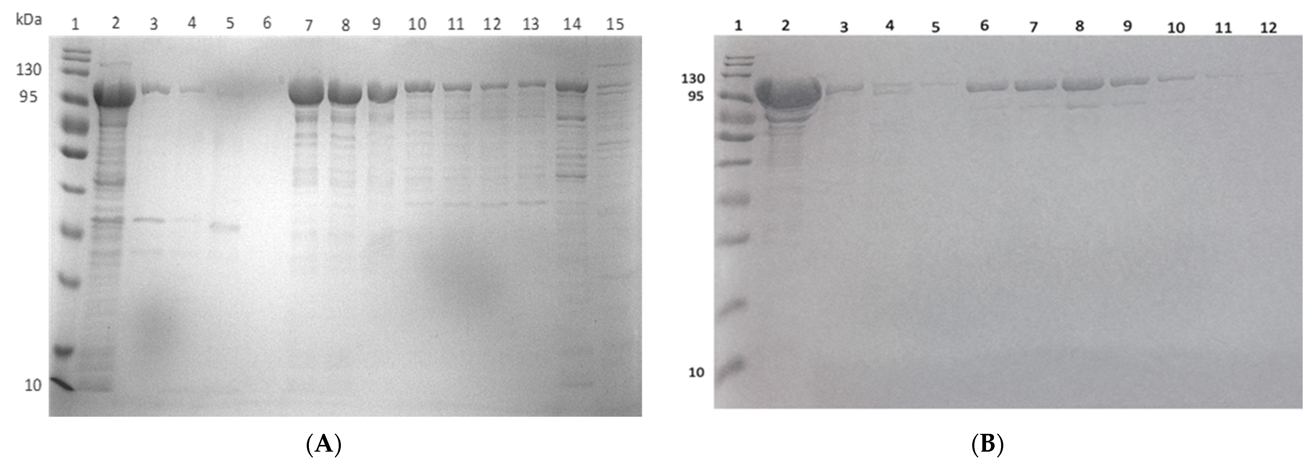 Molecules 27 00200 g014 Molecules 27 00200 g014