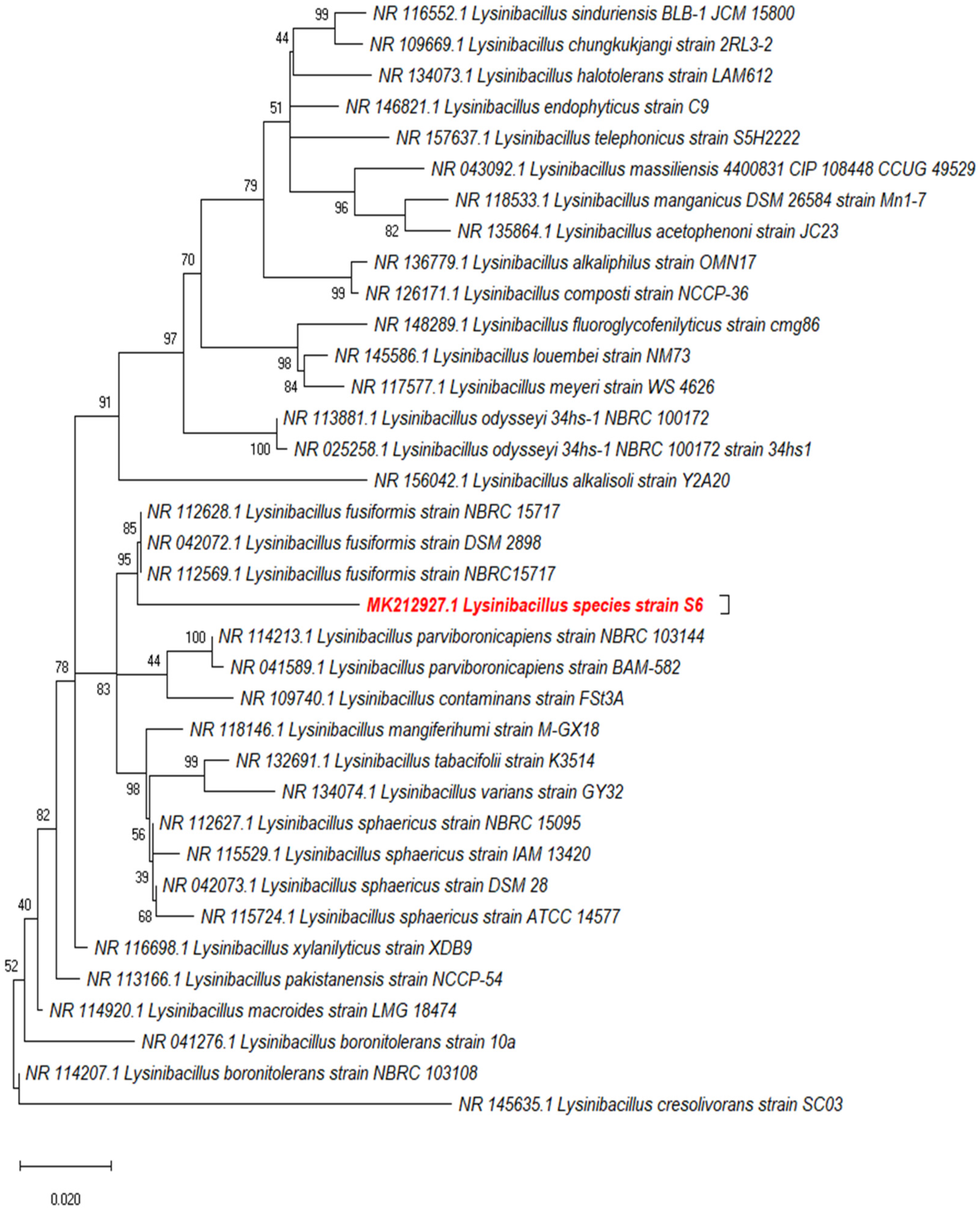 Molecules 27 00201 g001 Molecules 27 00201 g001