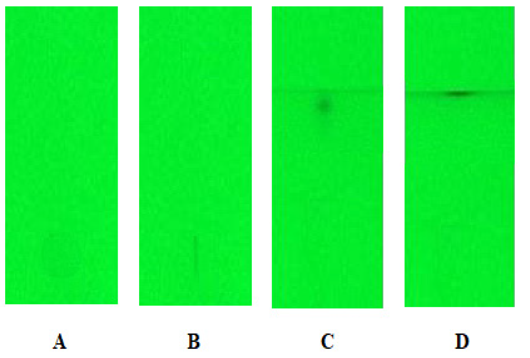 Molecules 27 00205 g001