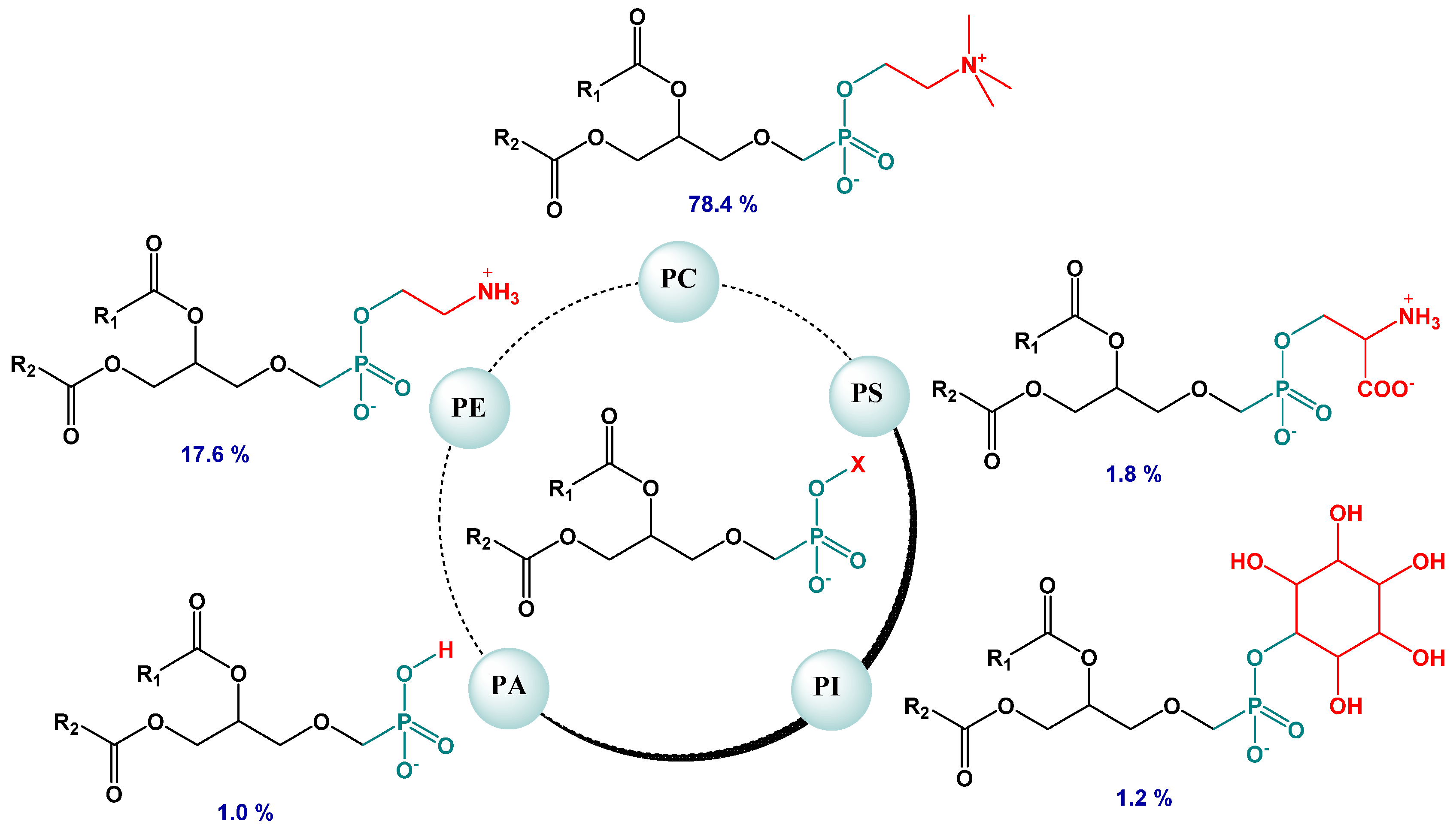 Molecules 27 00206 g002 550