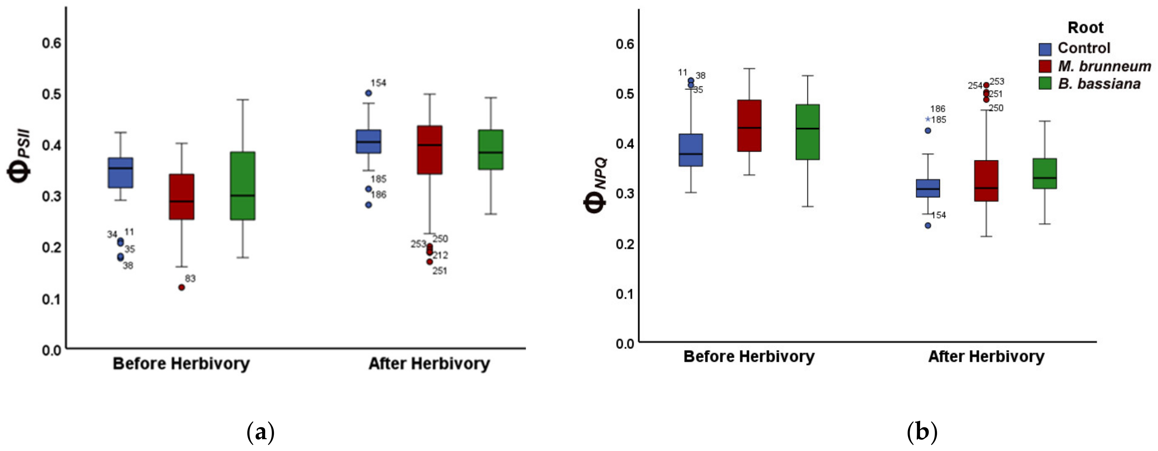 Molecules 27 00207 g001