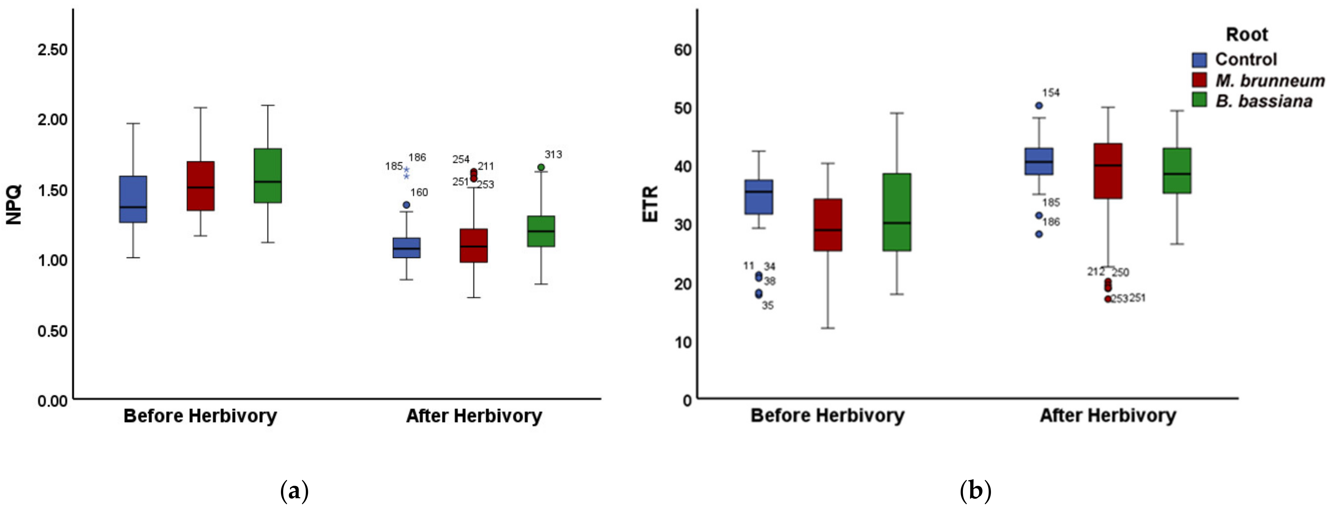 Molecules 27 00207 g005