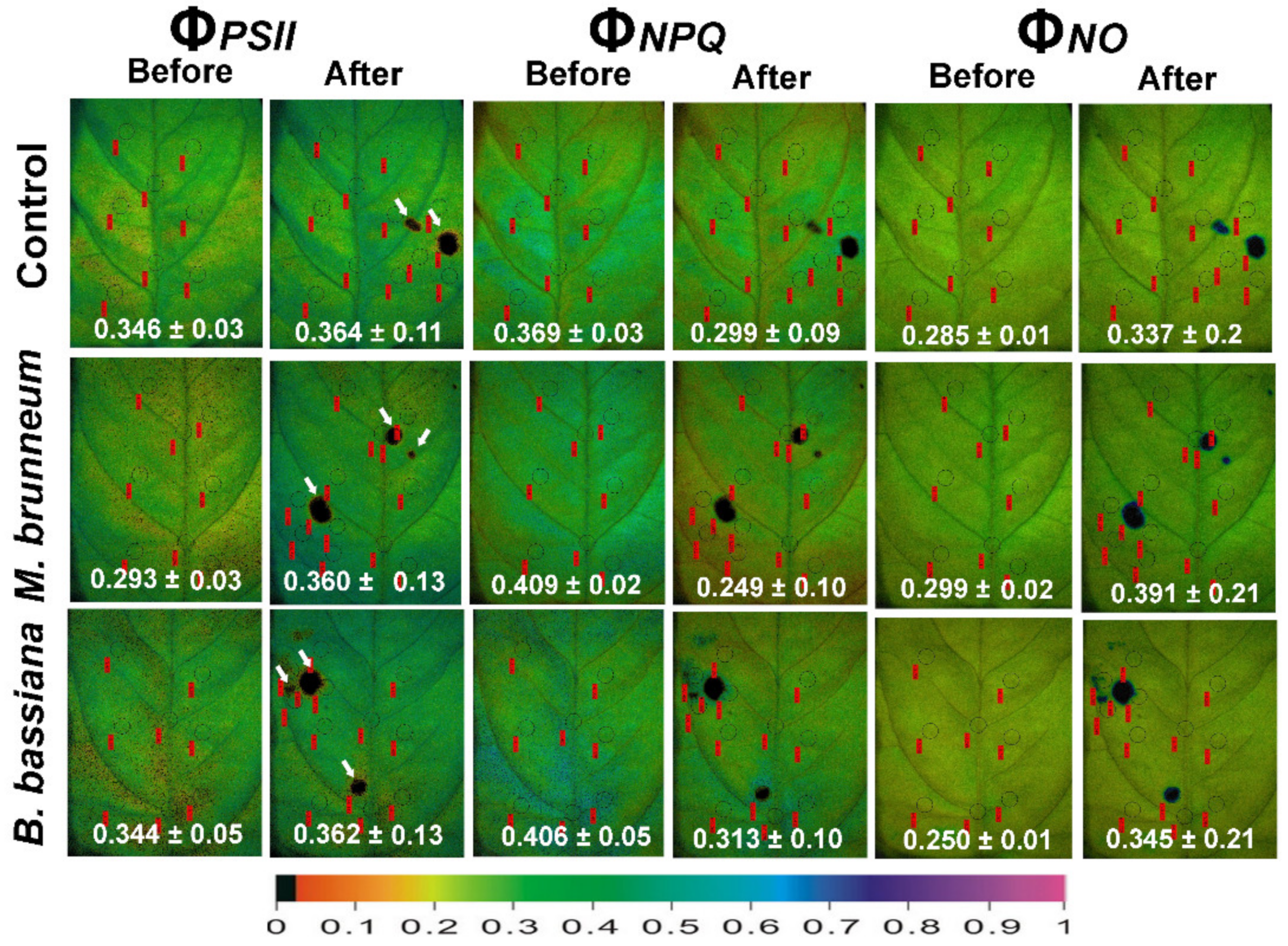 Molecules 27 00207 g008