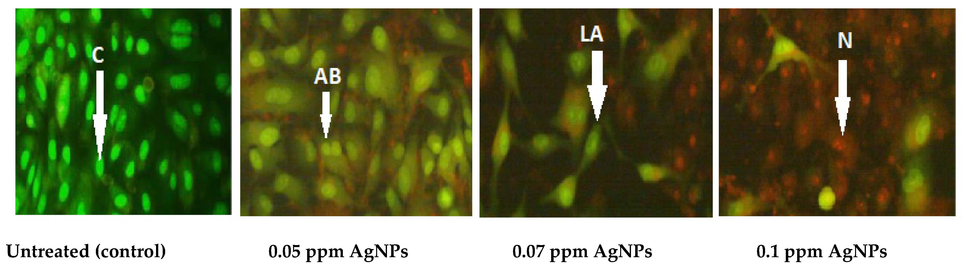 Molecules 27 00212 g006 550