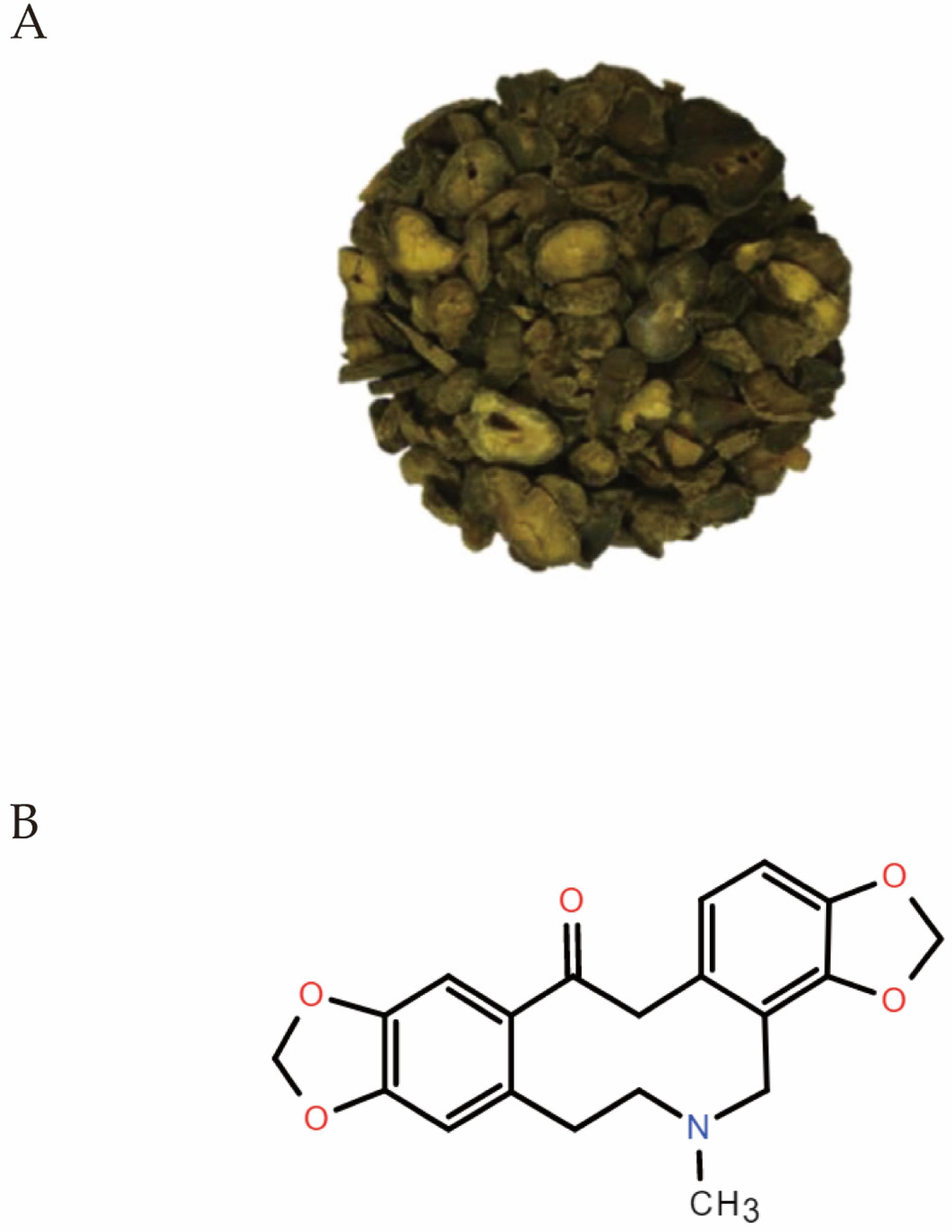 Molecules 27 00215 g001 Molecules 27 00215 g001