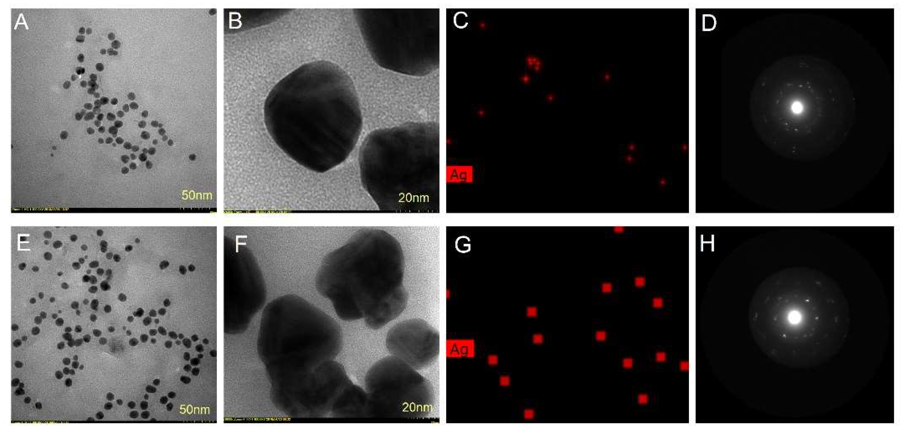 Molecules 27 00217 g007 550
