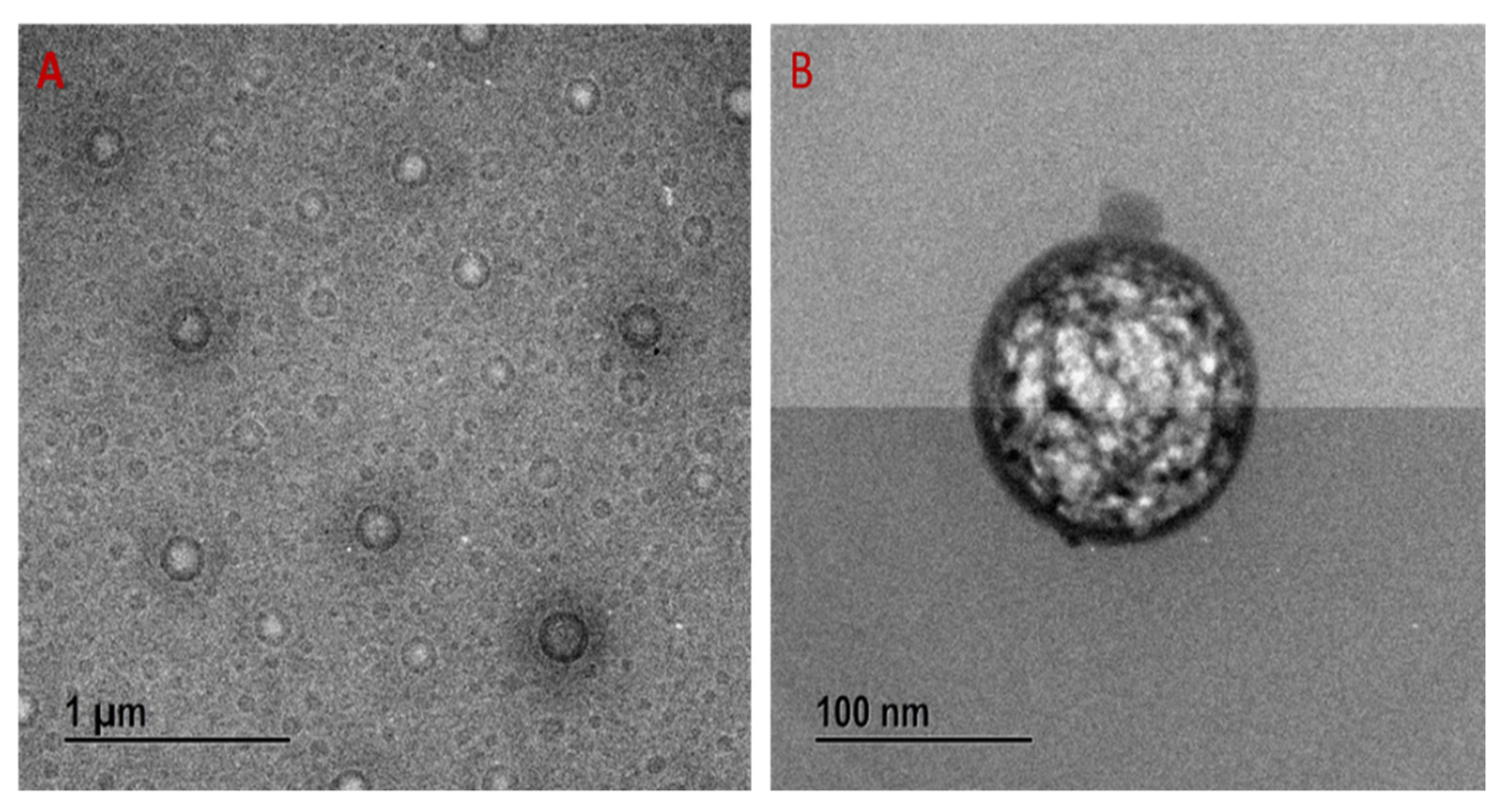Molecules 27 00218 g003