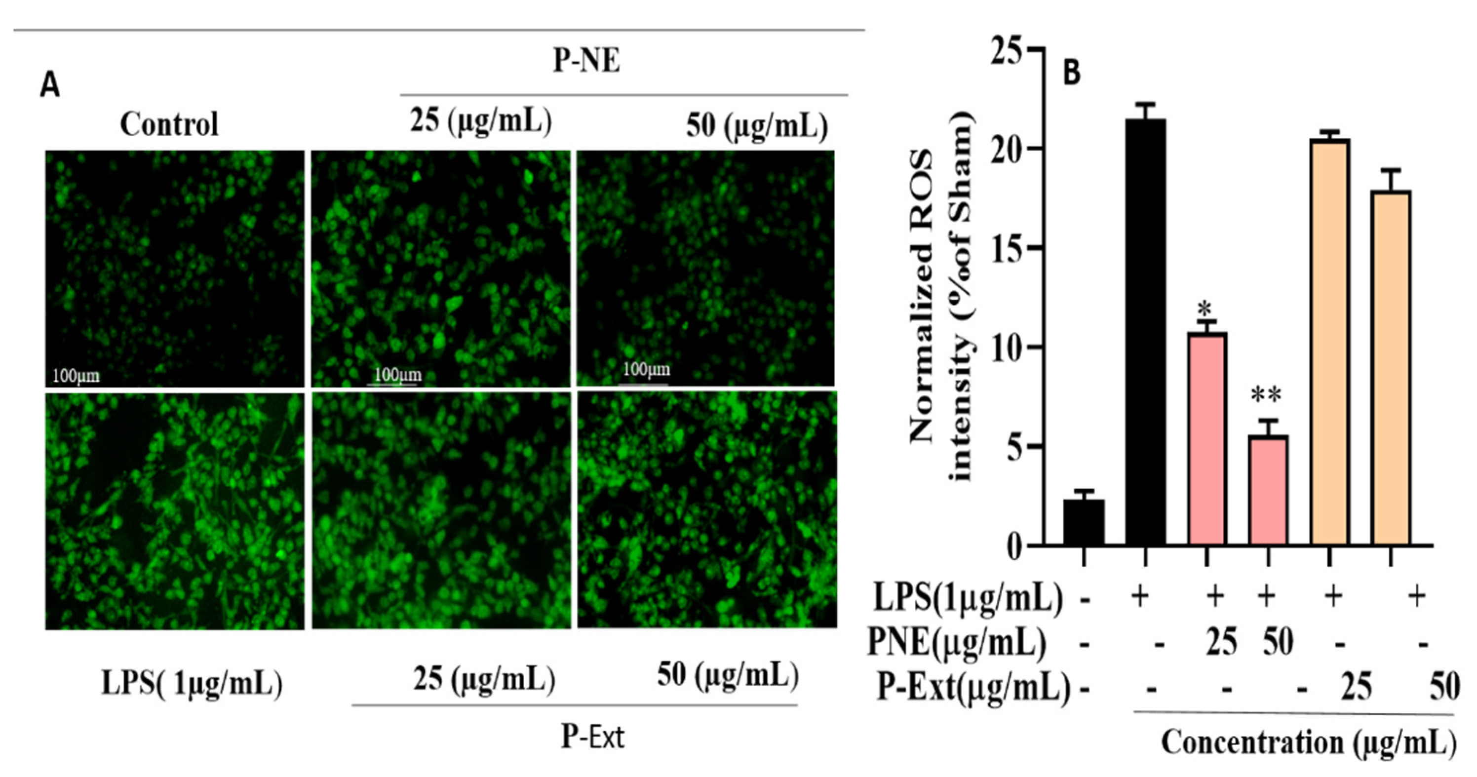 Molecules 27 00218 g006