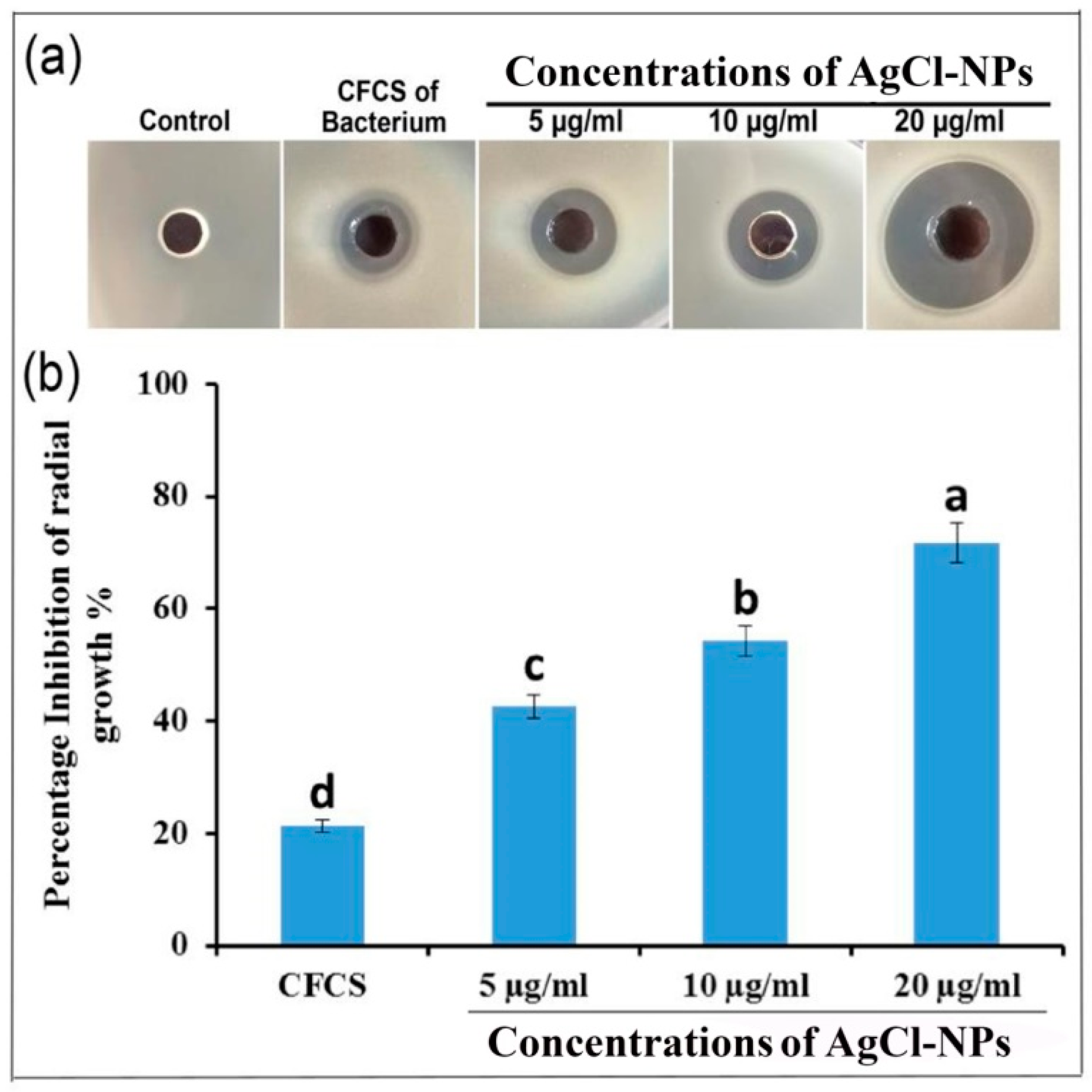 Molecules 27 00224 g007