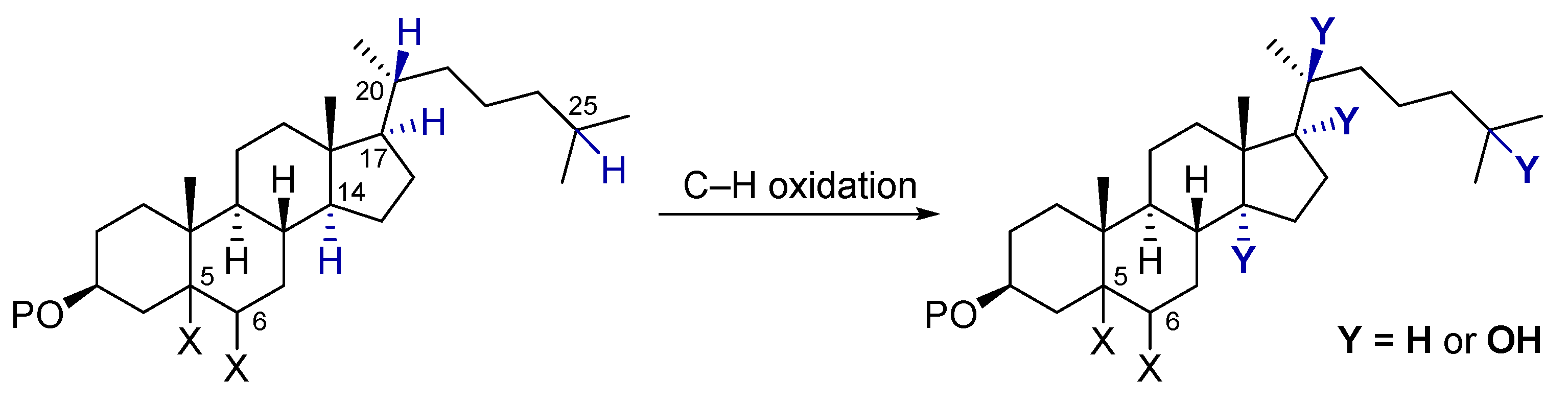 Molecules 27 00225 g001