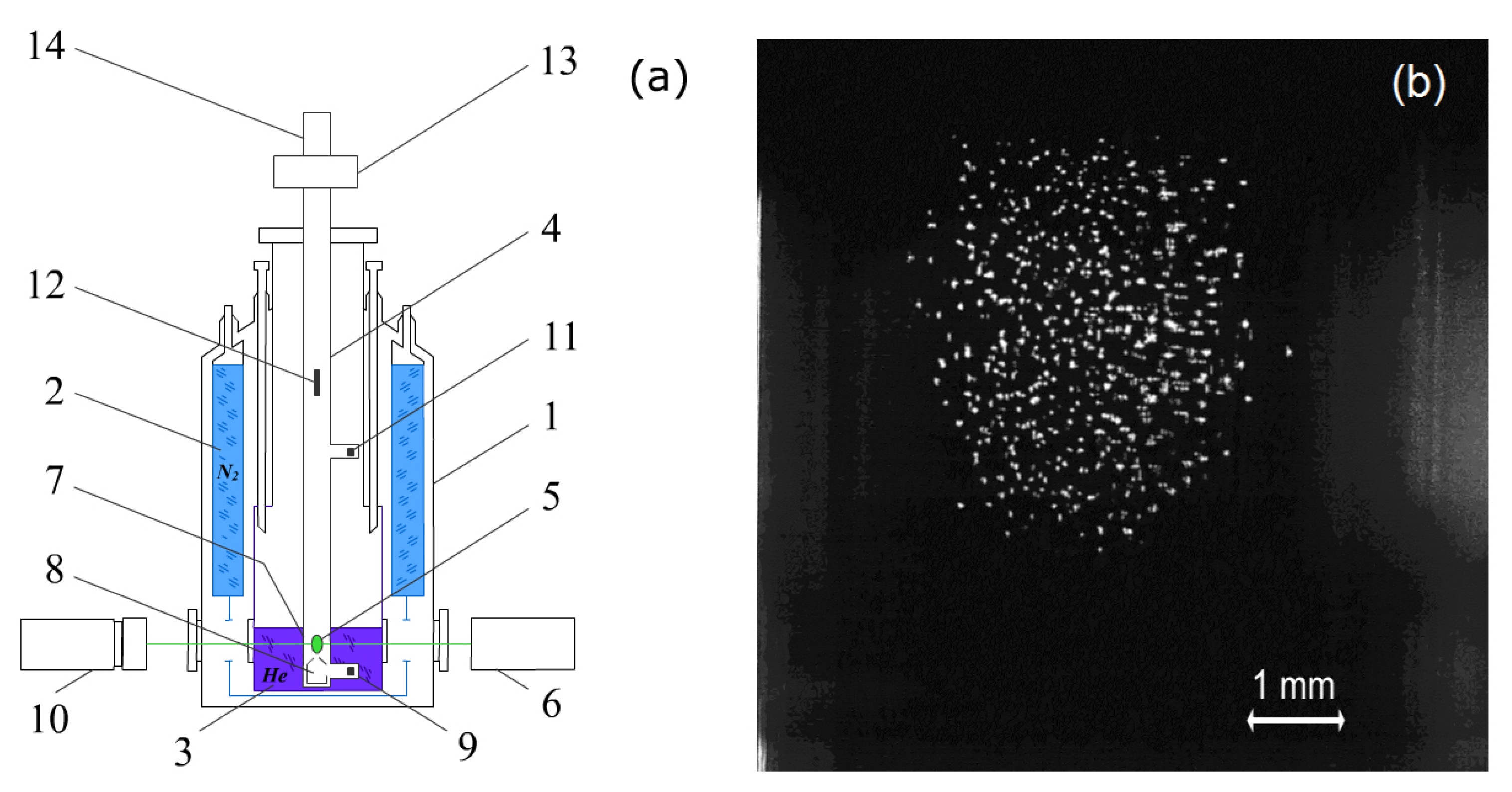 Molecules 27 00227 g002