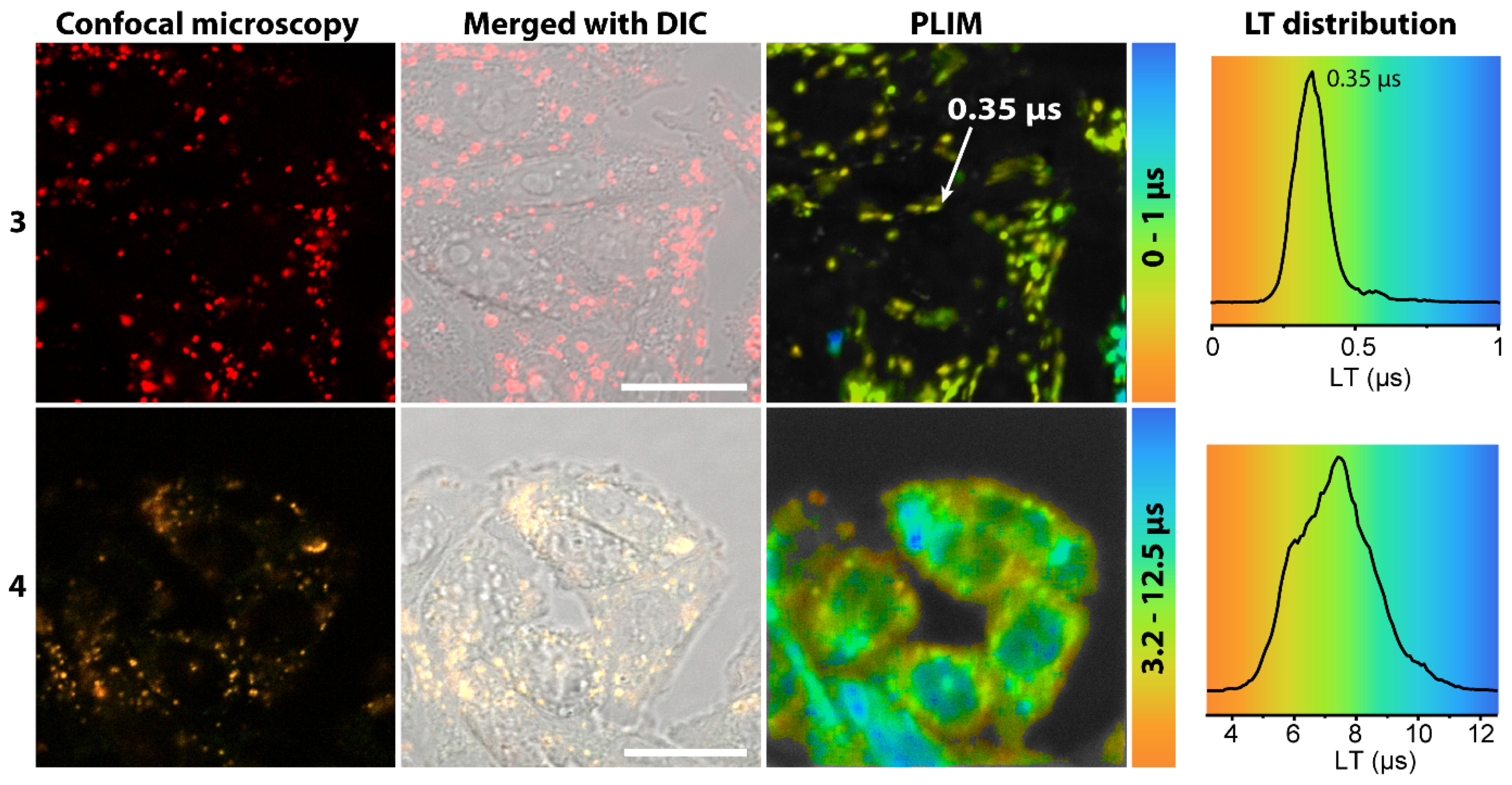 Molecules 27 00232 g010
