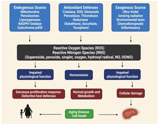 Molecules | Free Full-Text | Role of Phenolic in Human Disease: Current Knowledge and Future Prospects |