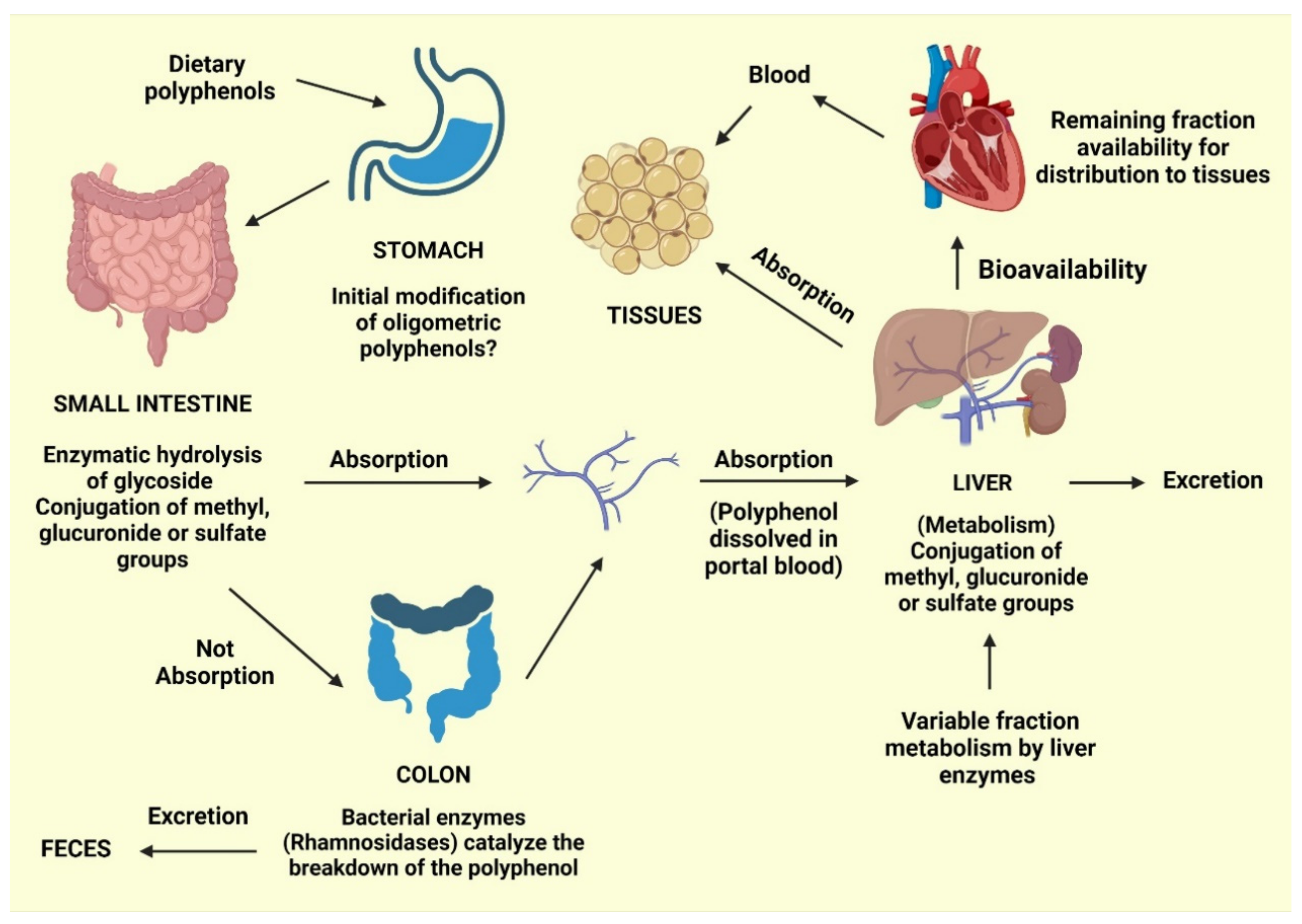 Molecules 27 00233 g002 Molecules 27 00233 g002