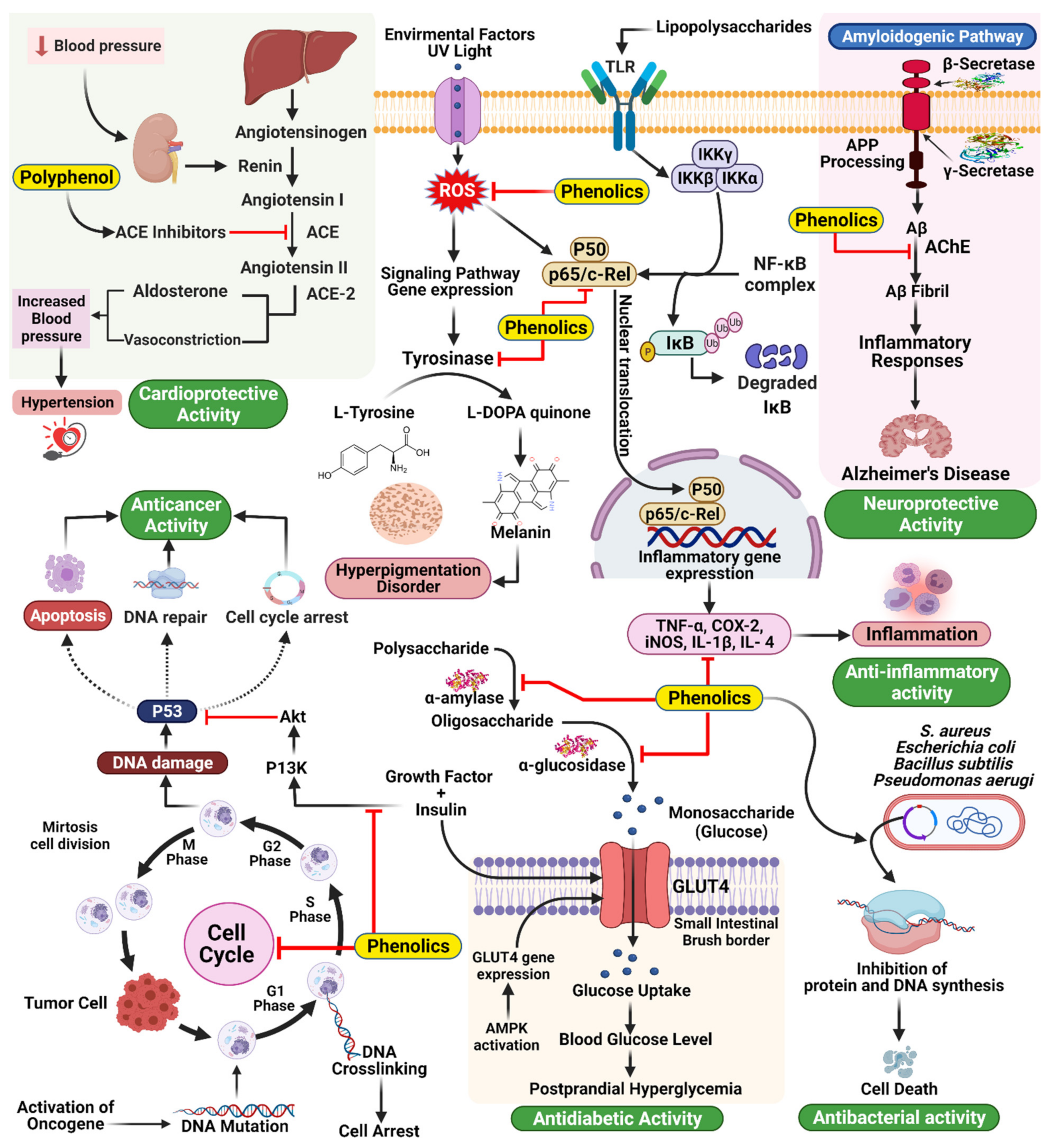 Molecules 27 00233 g007 Molecules 27 00233 g007