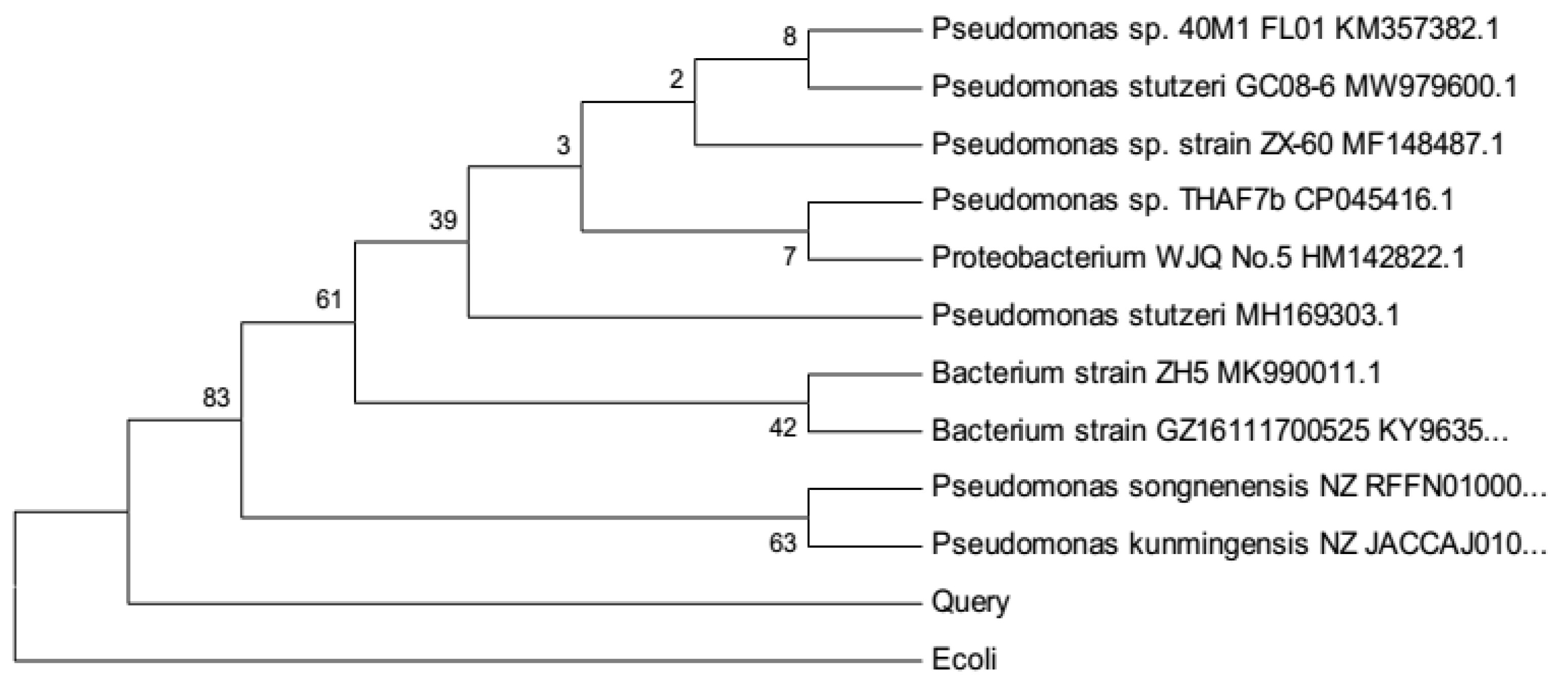 Molecules 27 00237 g002 Molecules 27 00237 g002