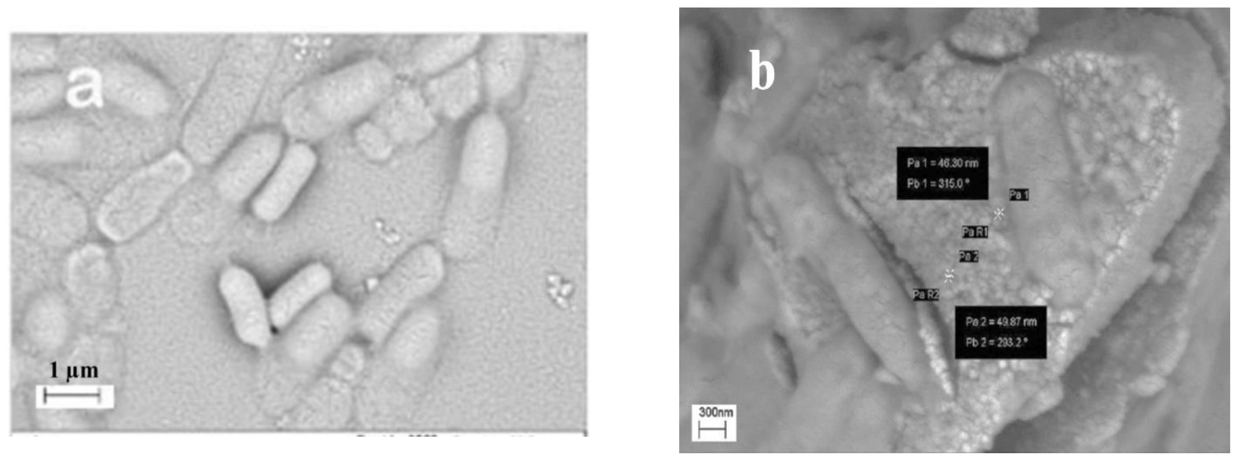Molecules 27 00237 g006 Molecules 27 00237 g006