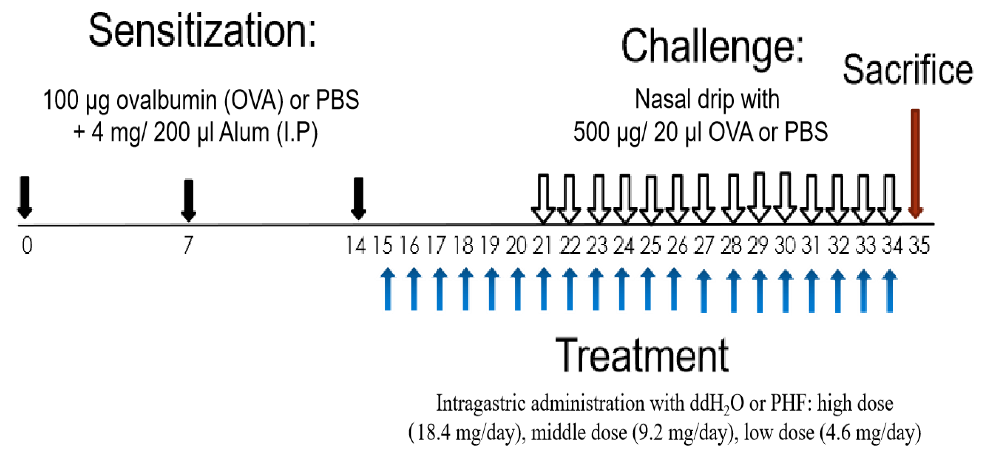 Molecules 27 00239 g001