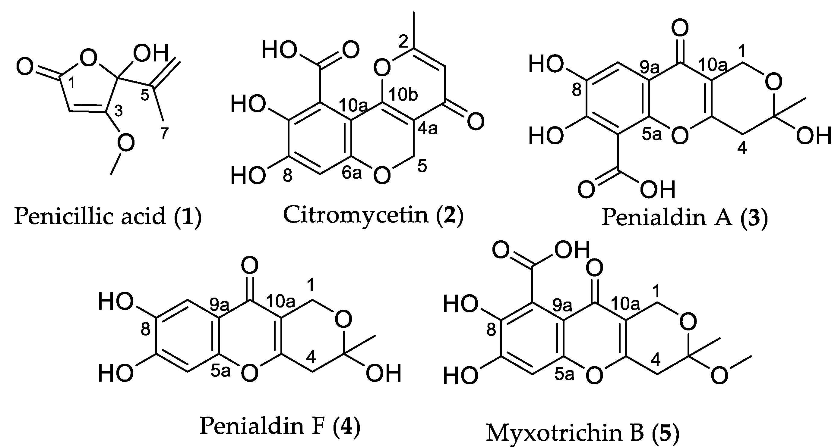 Molecules 27 00240 g001