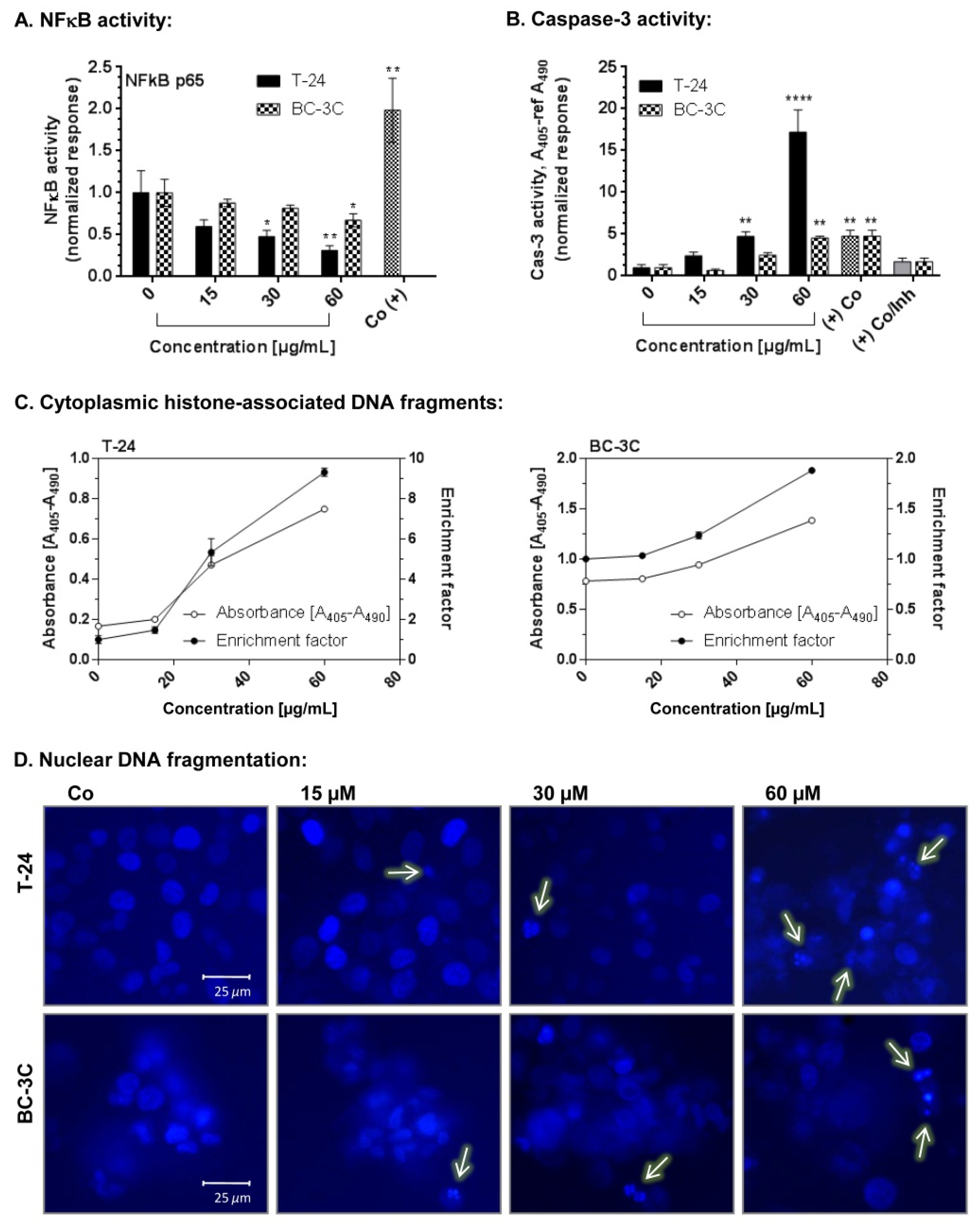 Molecules 27 00245 g002