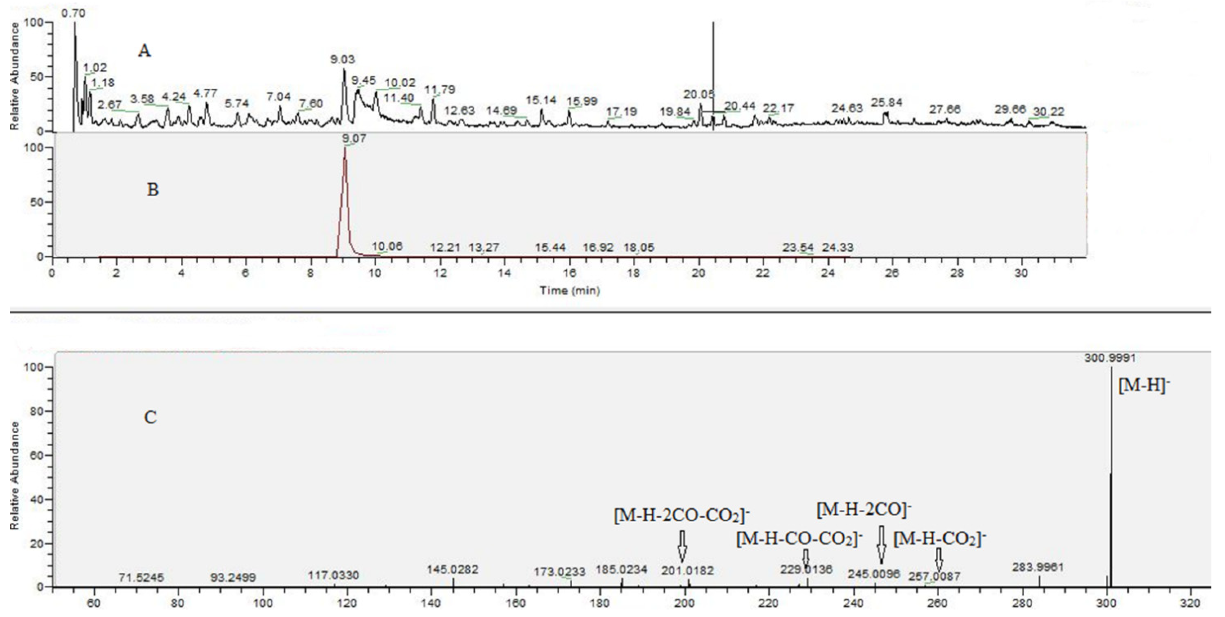 Molecules 27 00245 g004