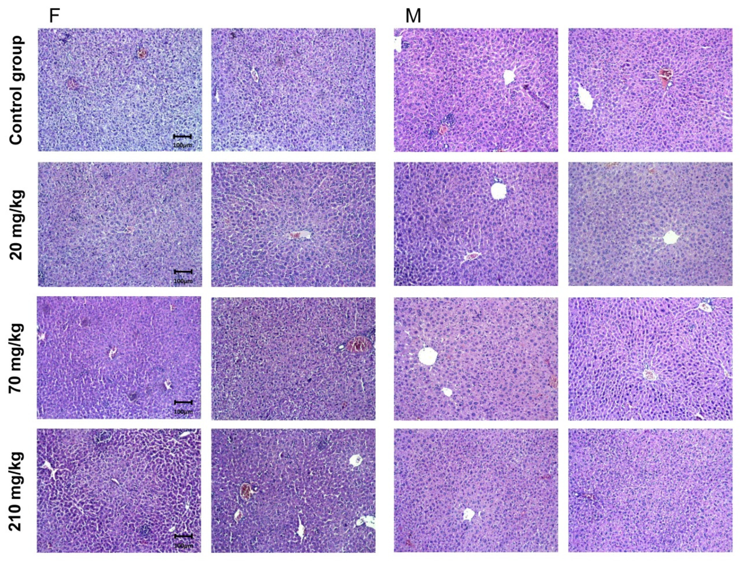 Molecules 27 00245 g005