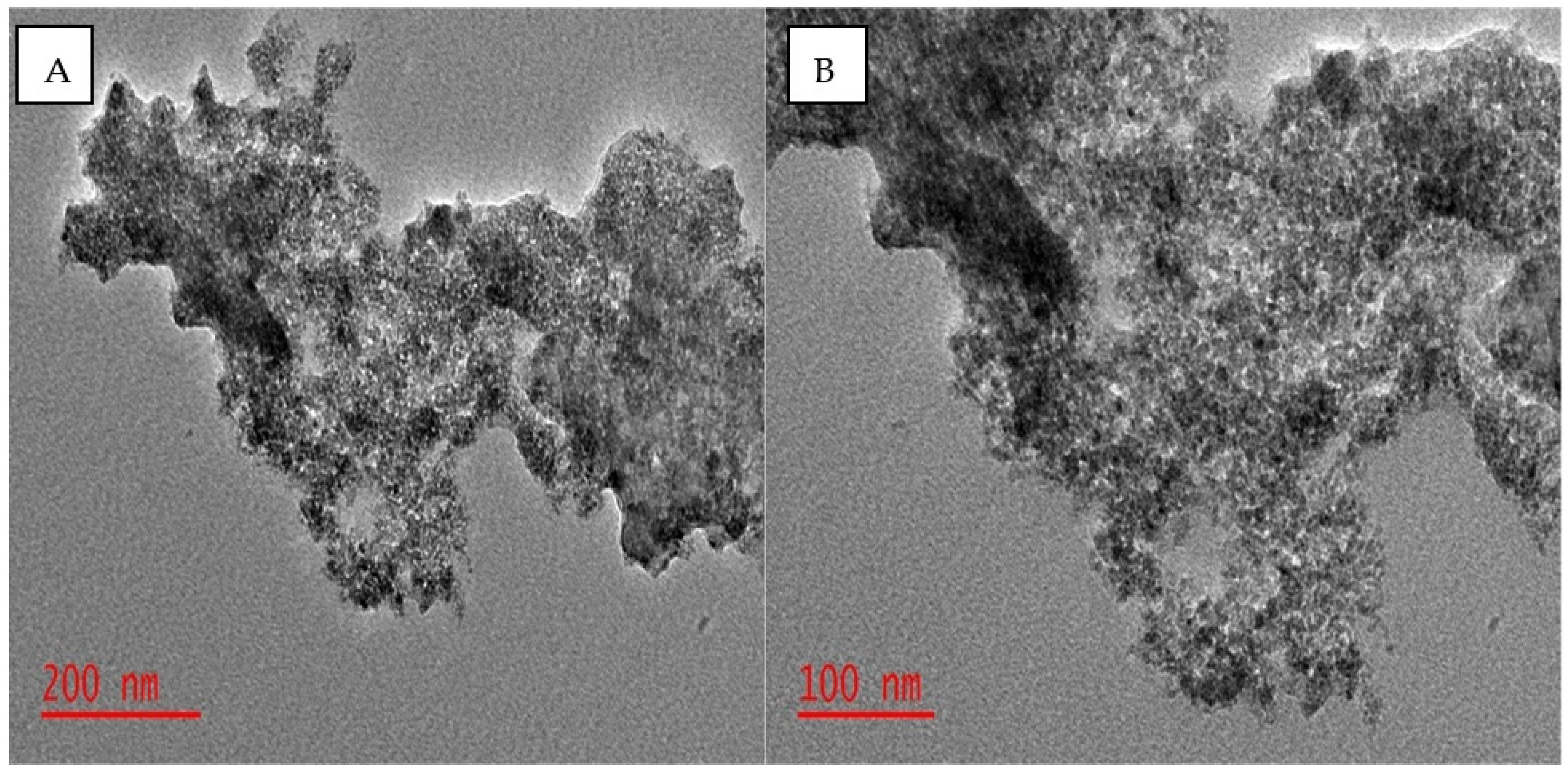 Molecules 27 00248 g002