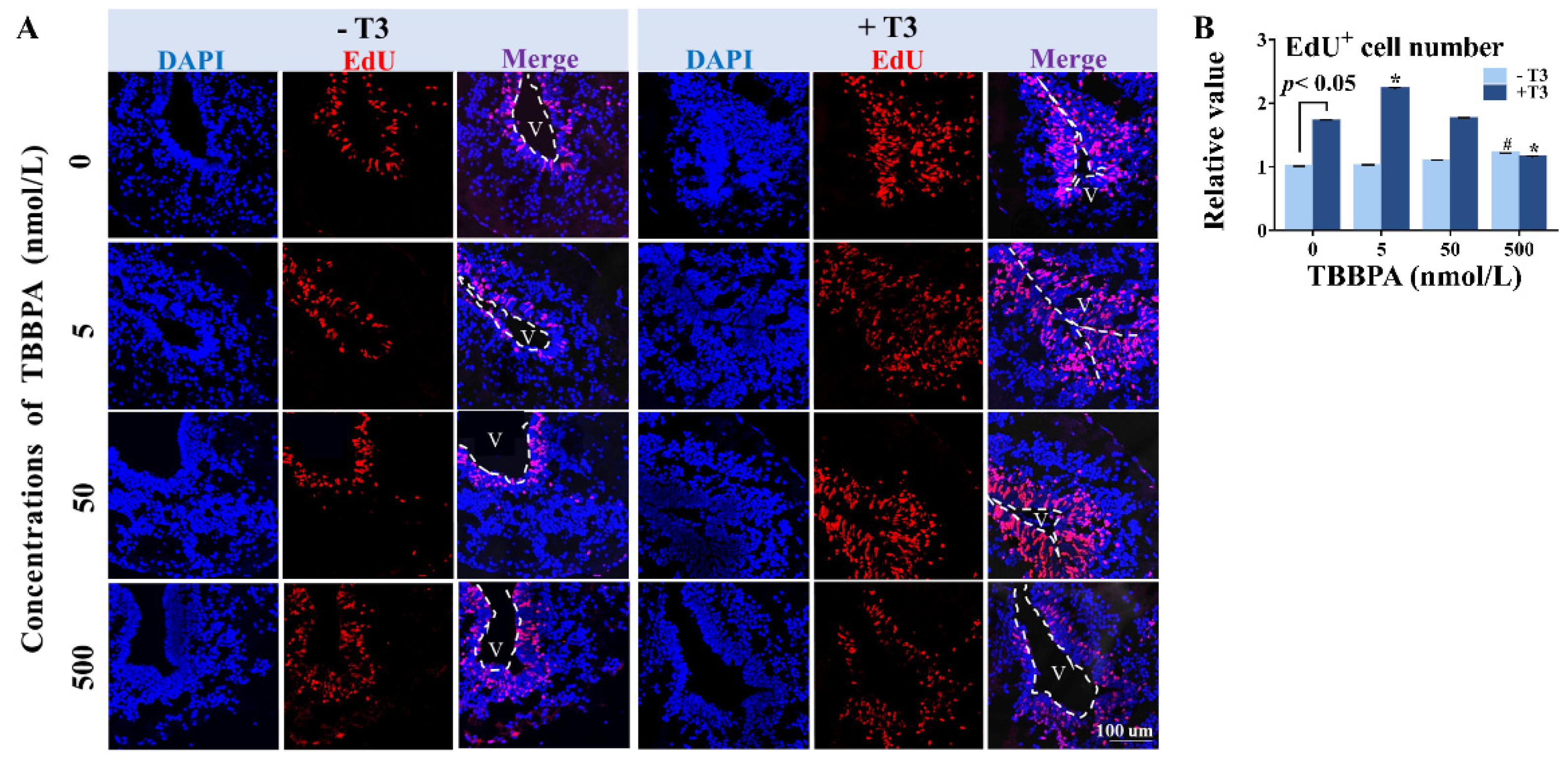 Molecules 27 00249 g004 Molecules 27 00249 g004