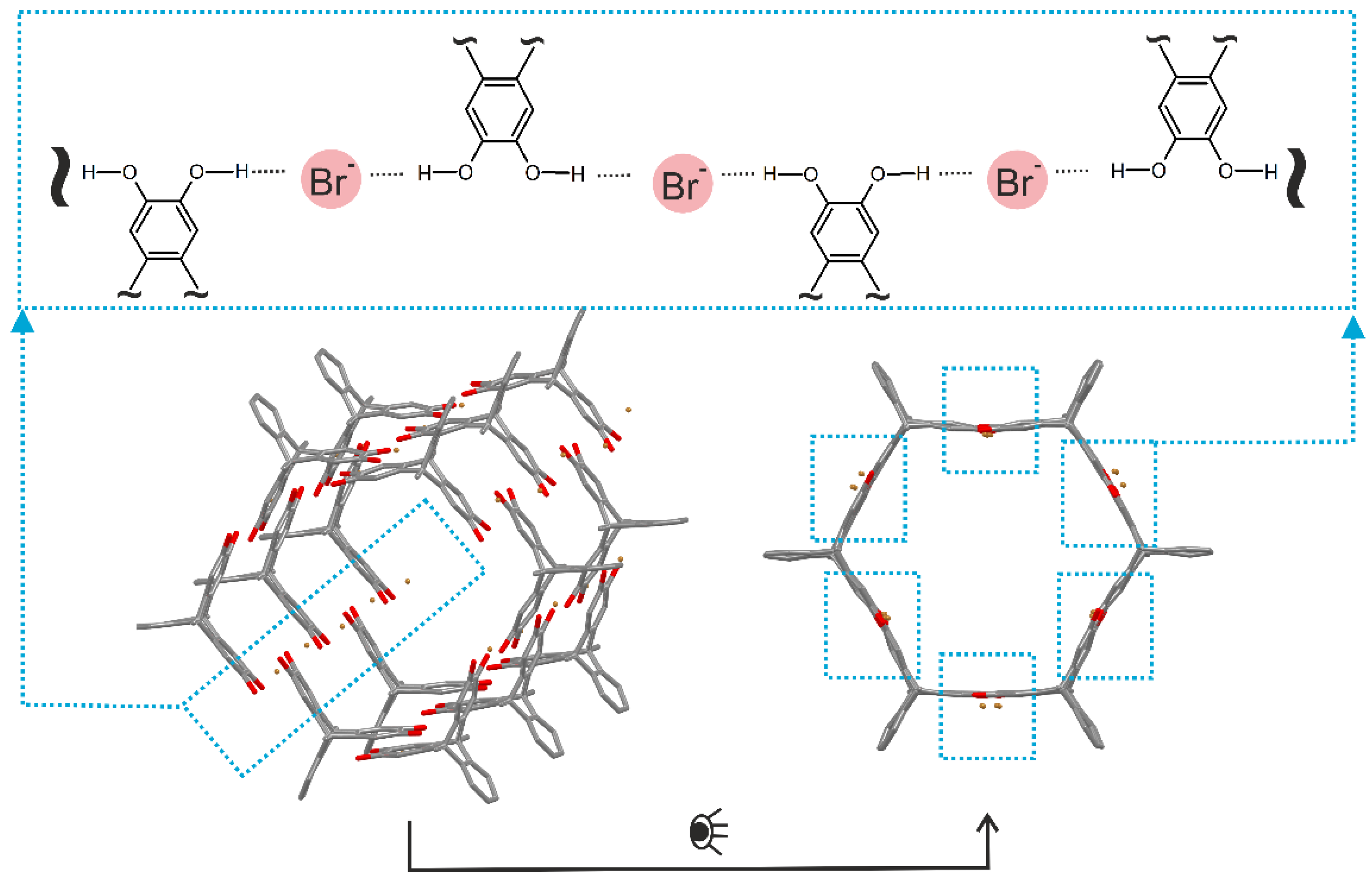 Molecules 27 00250 g005