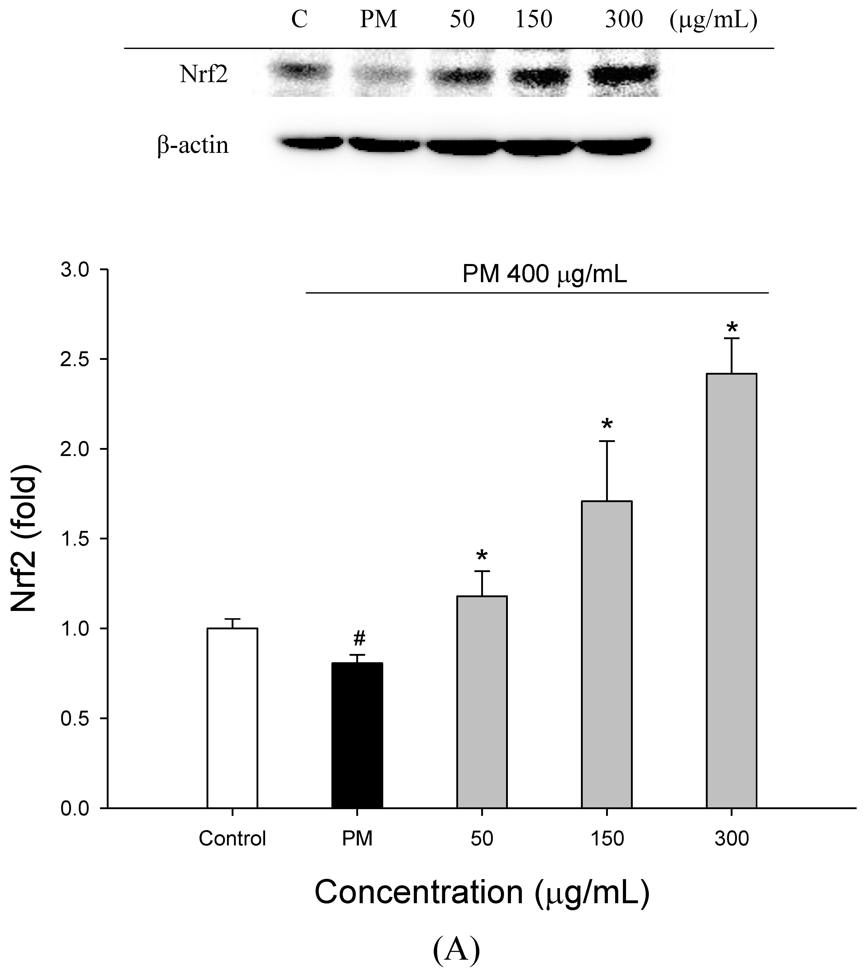 Molecules 27 00253 g003a Molecules 27 00253 g003a