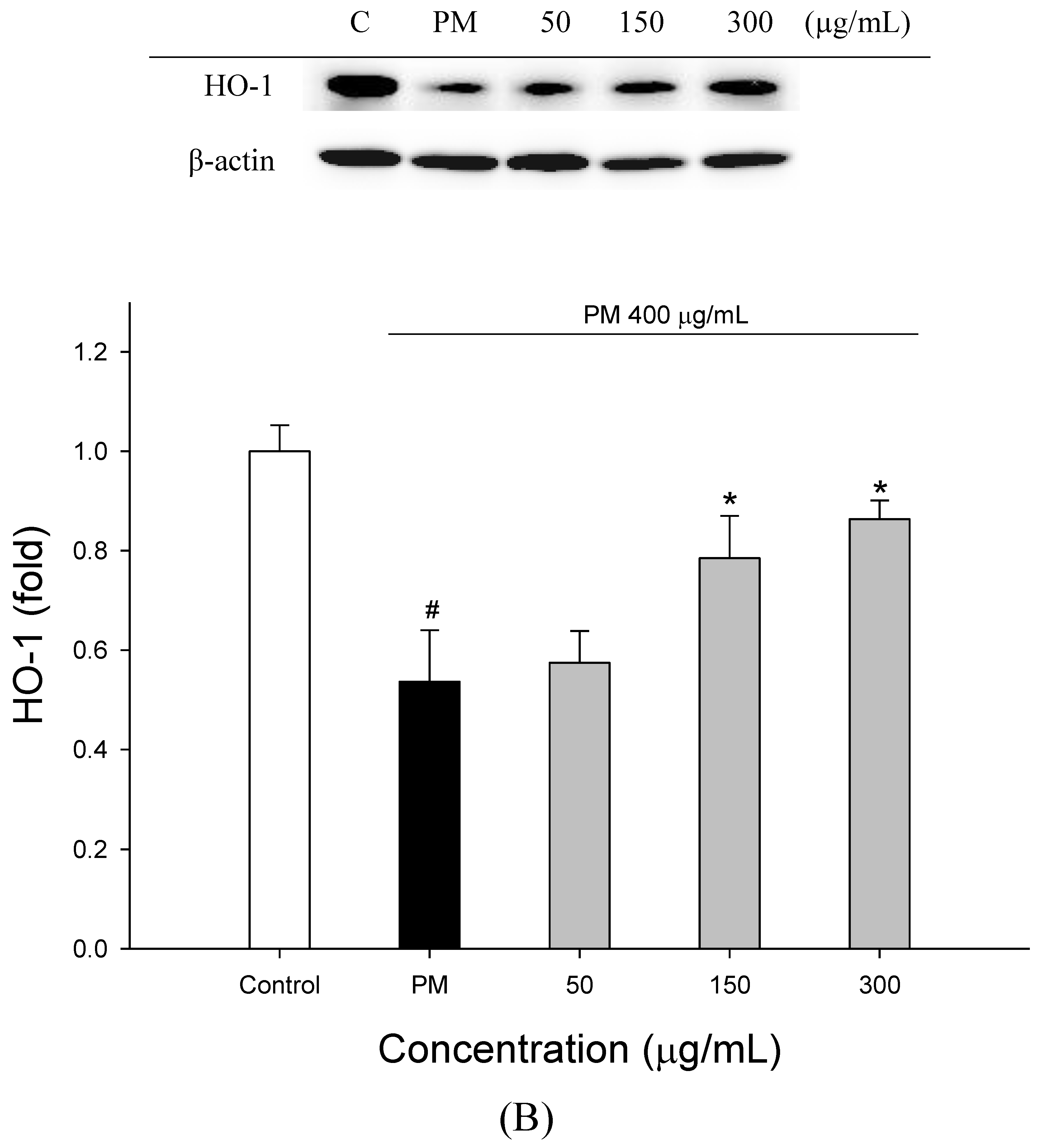 Molecules 27 00253 g003b Molecules 27 00253 g003b