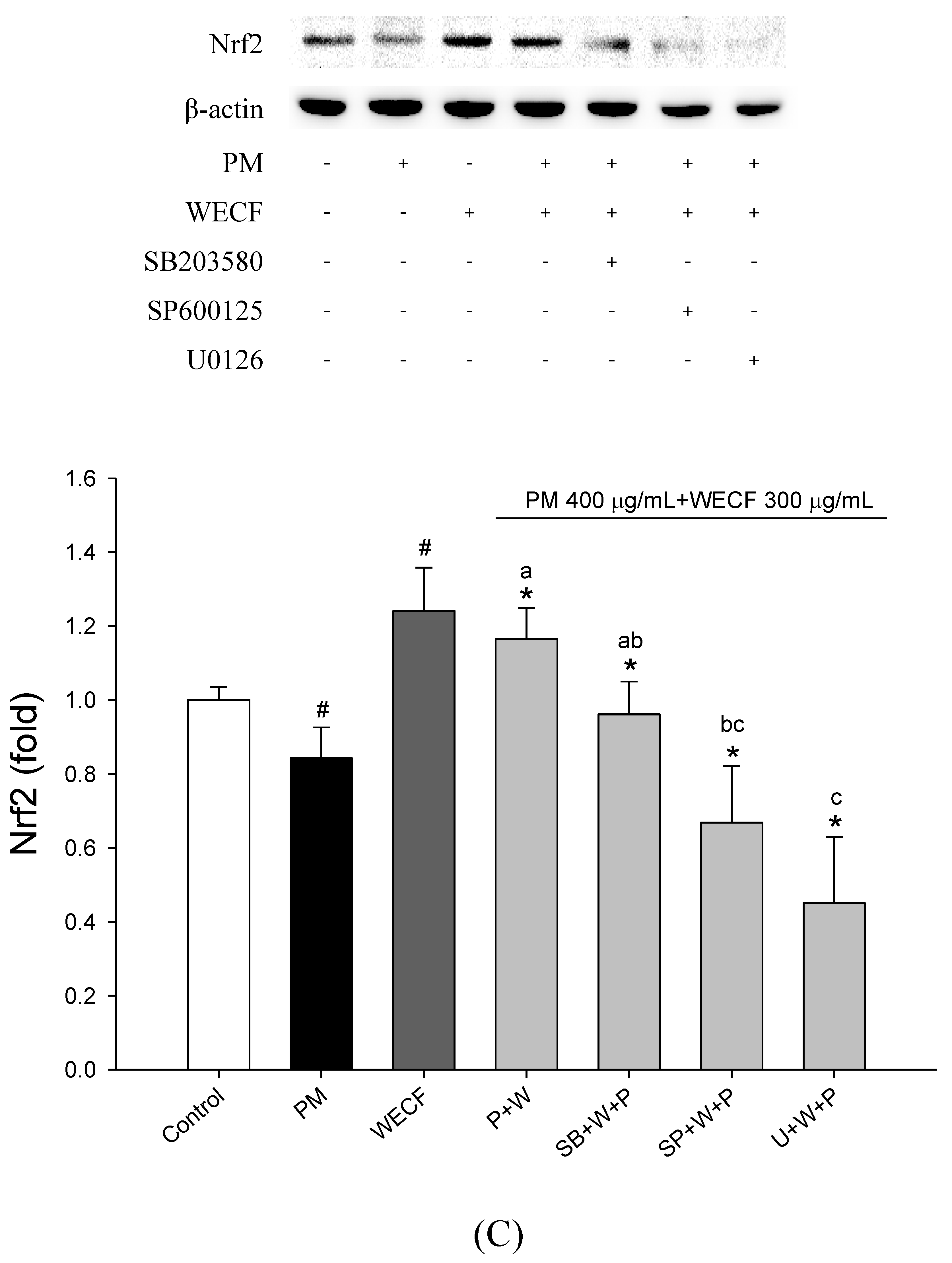 Molecules 27 00253 g003c Molecules 27 00253 g003c