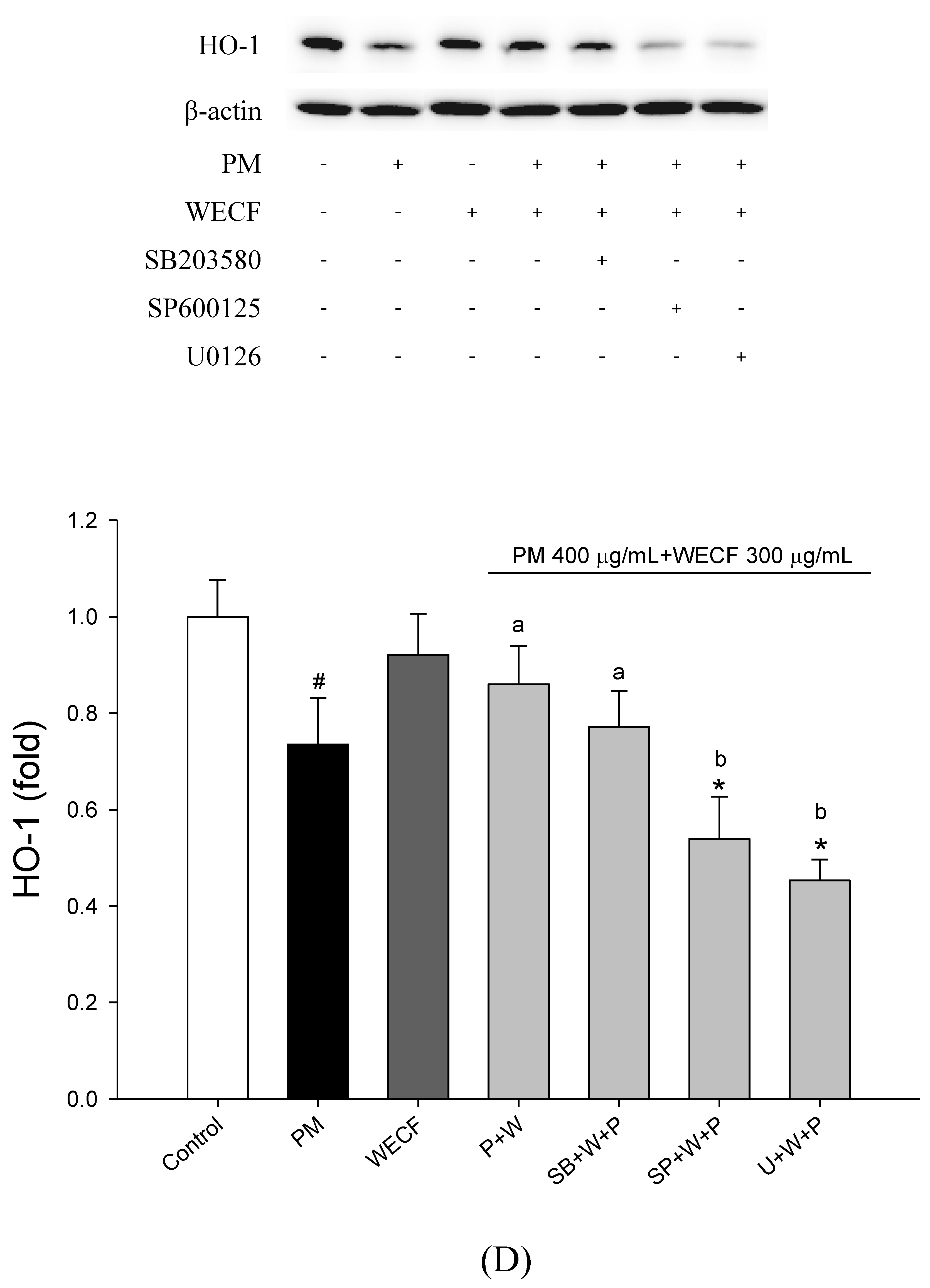 Molecules 27 00253 g003d Molecules 27 00253 g003d
