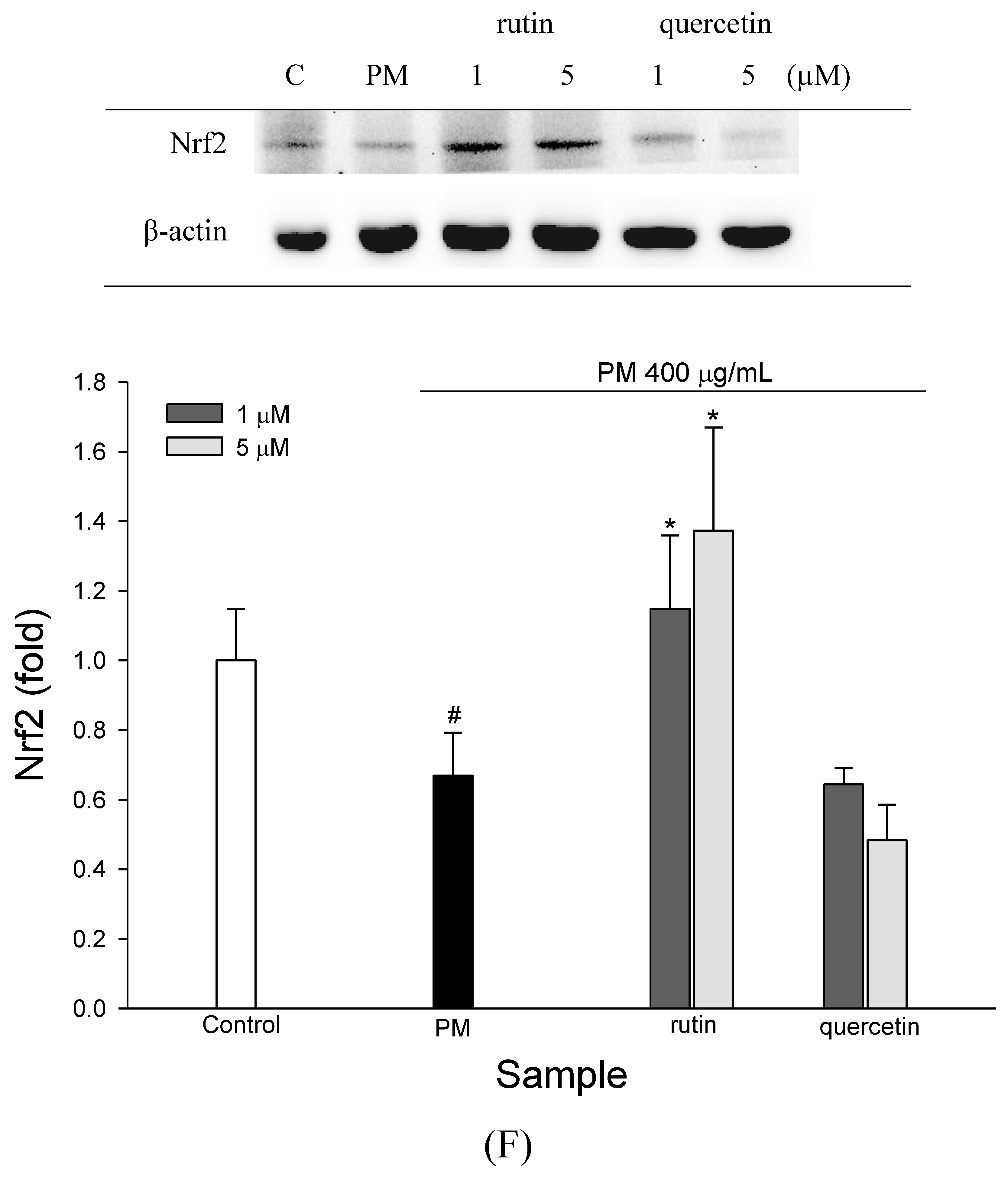 Molecules 27 00253 g005f Molecules 27 00253 g005f