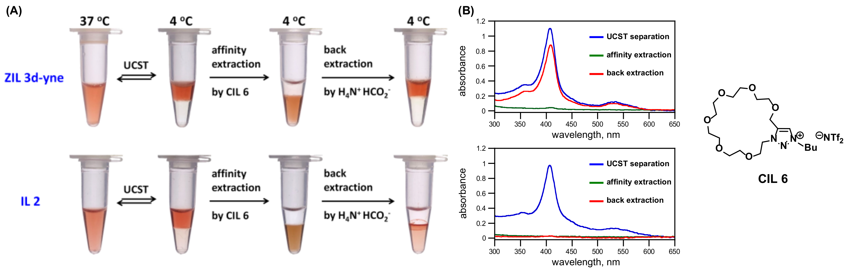 Molecules 27 00257 g008 550