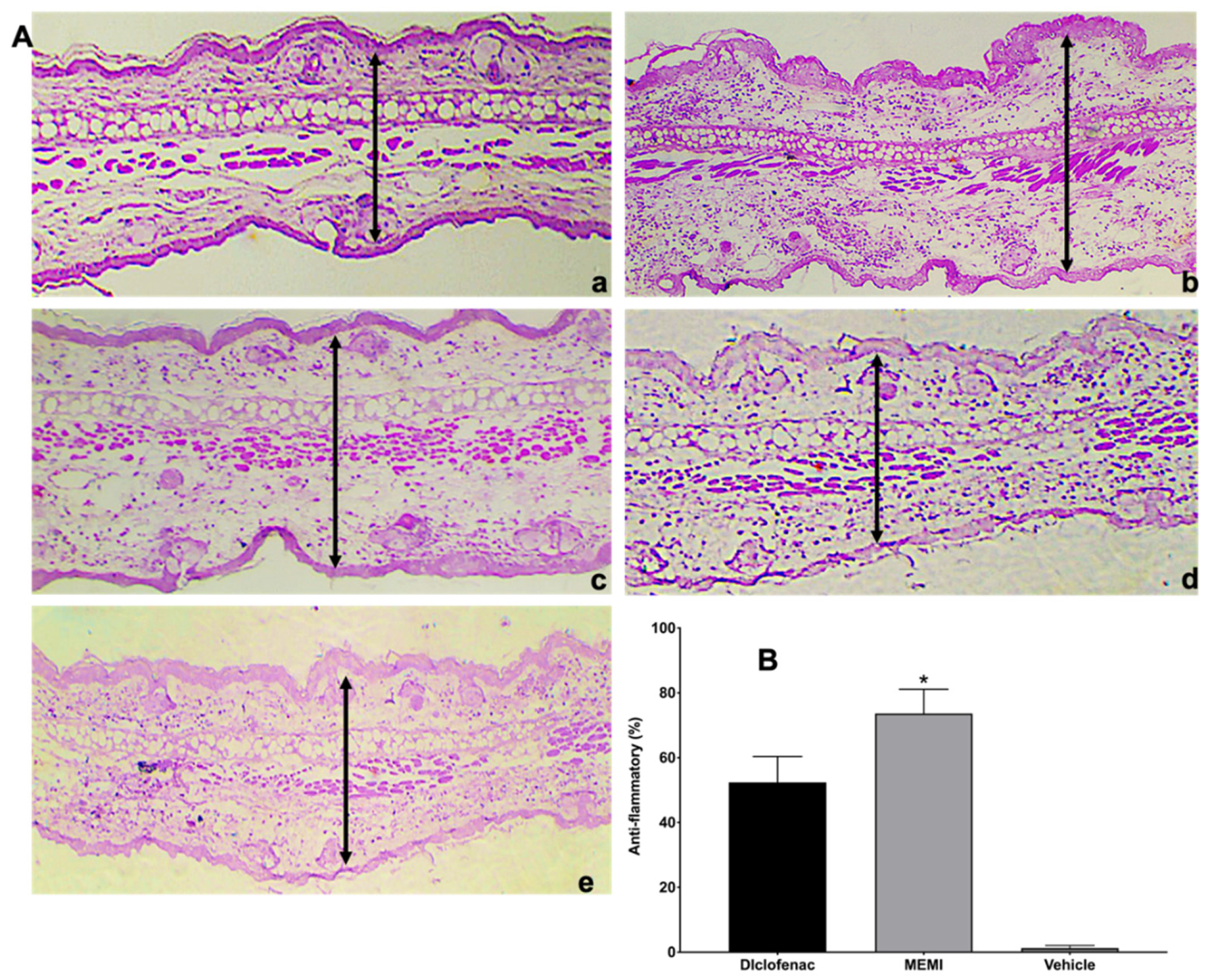 Molecules 27 00259 g008