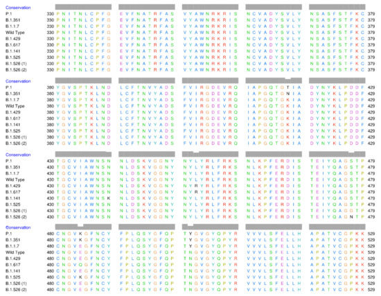 Molecules Free Full Text Fruit Bromelain Derived Peptide Potentially Restrains The Attachment Of Sars Cov 2 Variants To Hace2 A Pharmacoinformatics Approach Html Molecules Free Full Text Fruit Bromelain Derived Peptide Potentially Restrains The Attachment Of Sars Cov 2 Variants To Hace2 A Pharmacoinformatics Approach Html