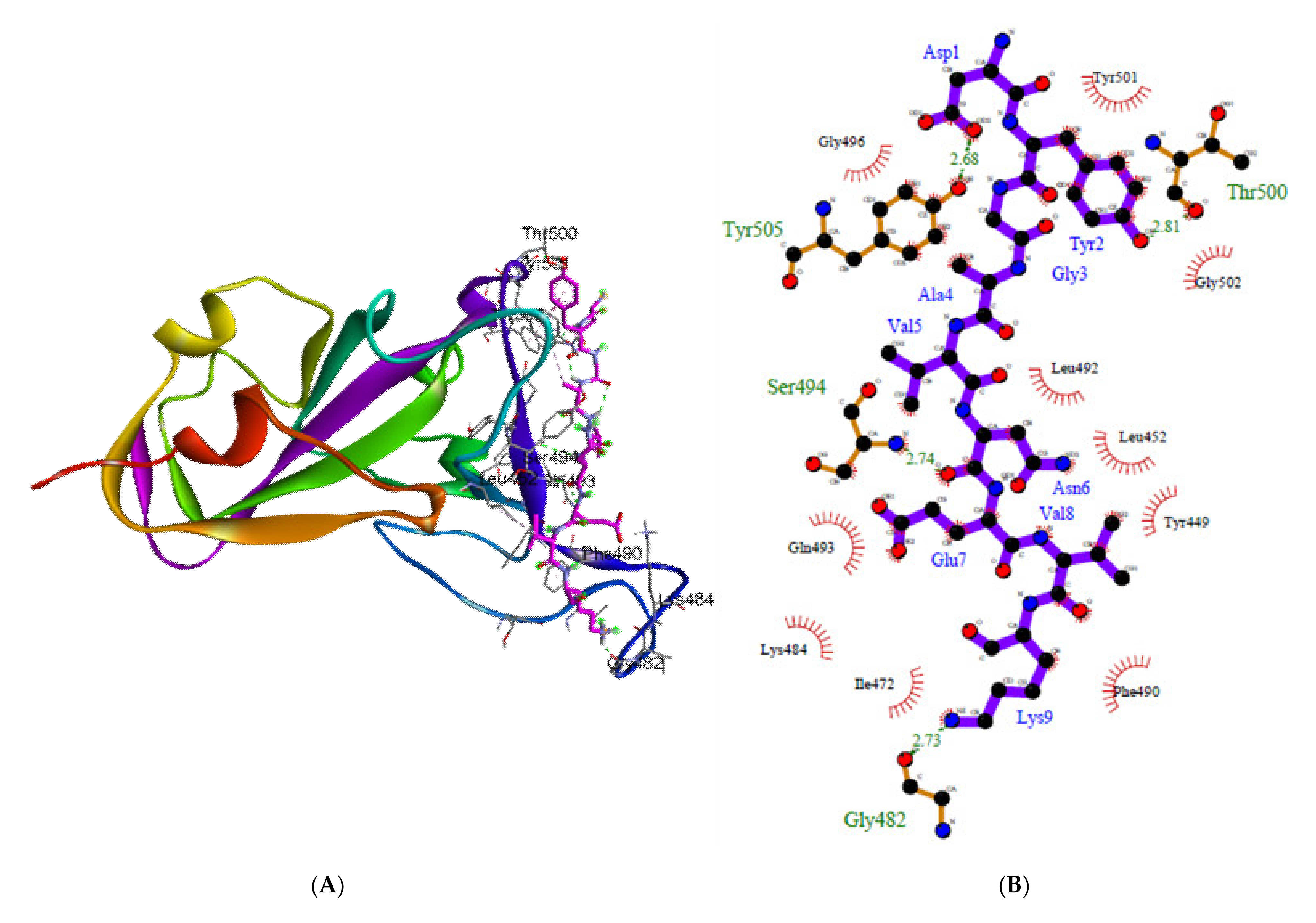 Bromelain Structure