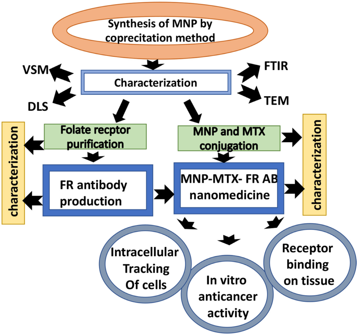 Molecules 27 00261 g001