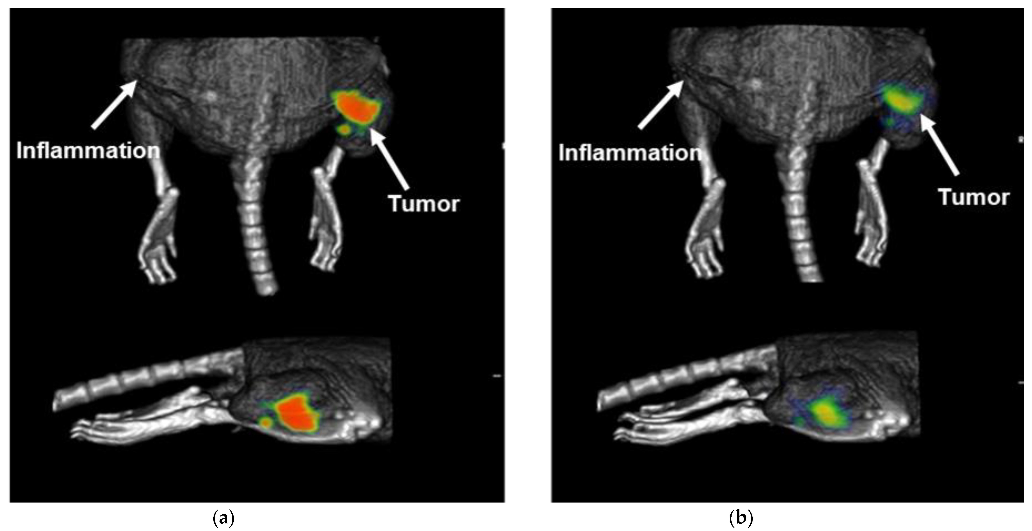 Molecules 27 00264 g007 550