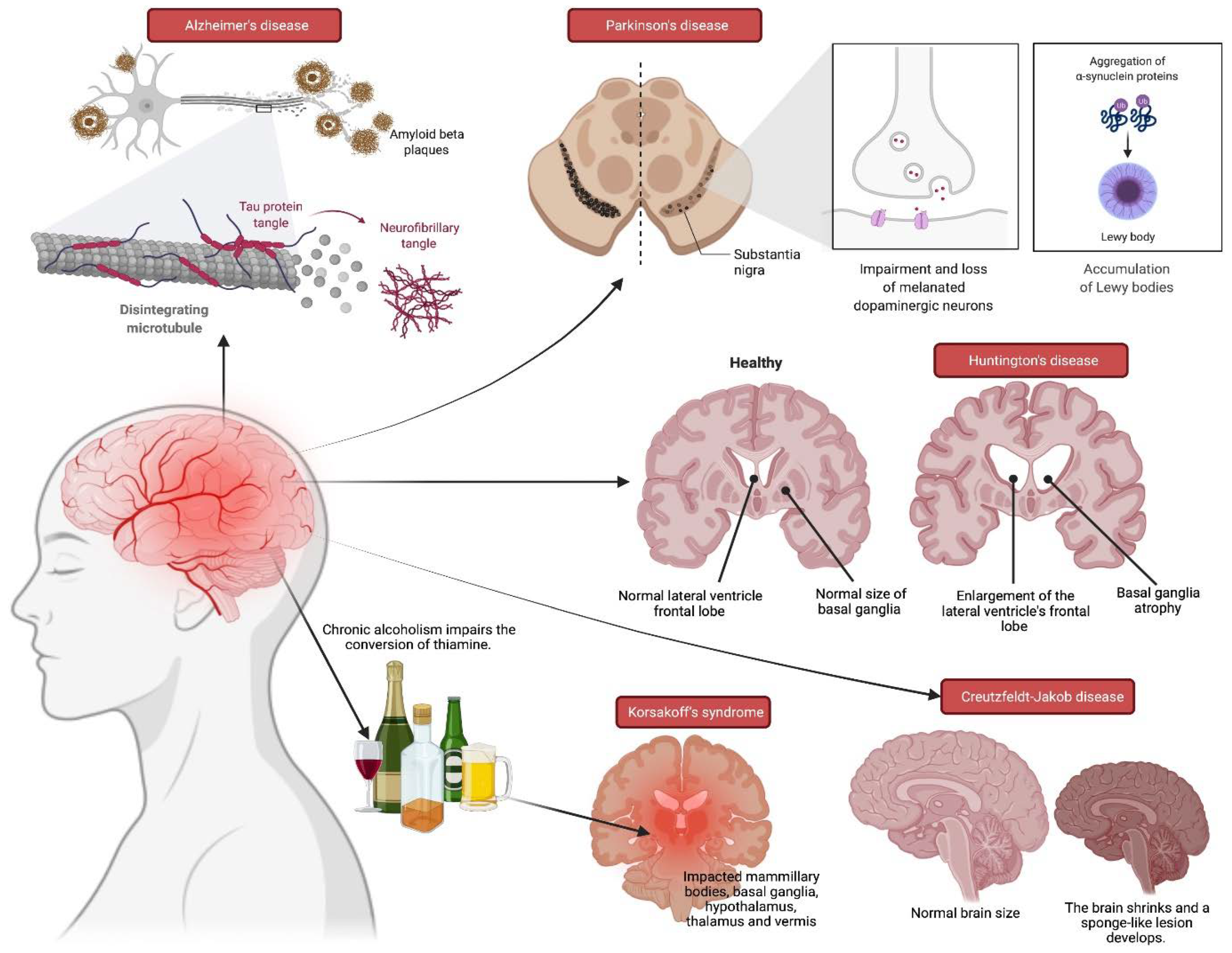Molecules 27 00265 g001 Molecules 27 00265 g001
