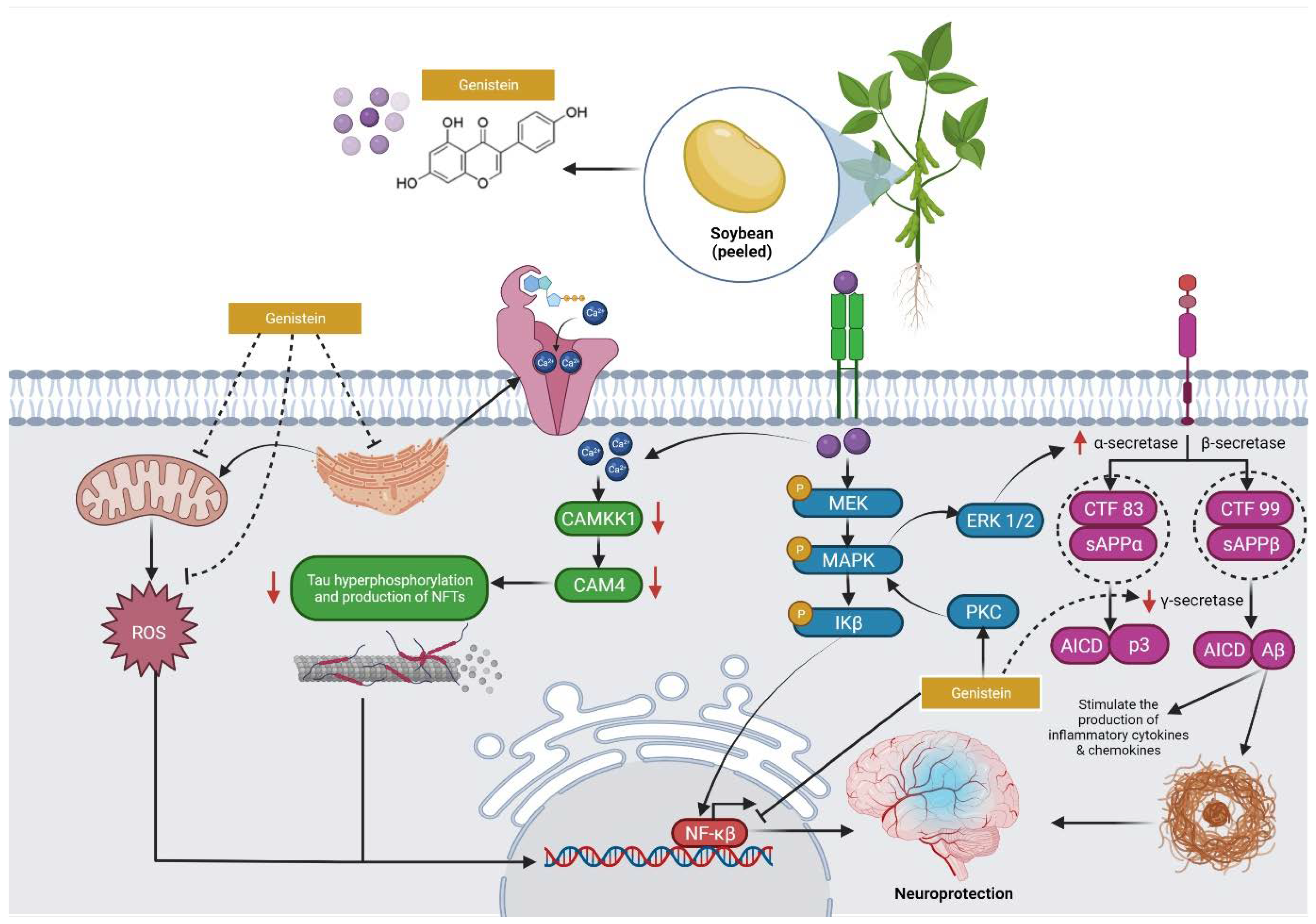 Molecules 27 00265 g003 Molecules 27 00265 g003