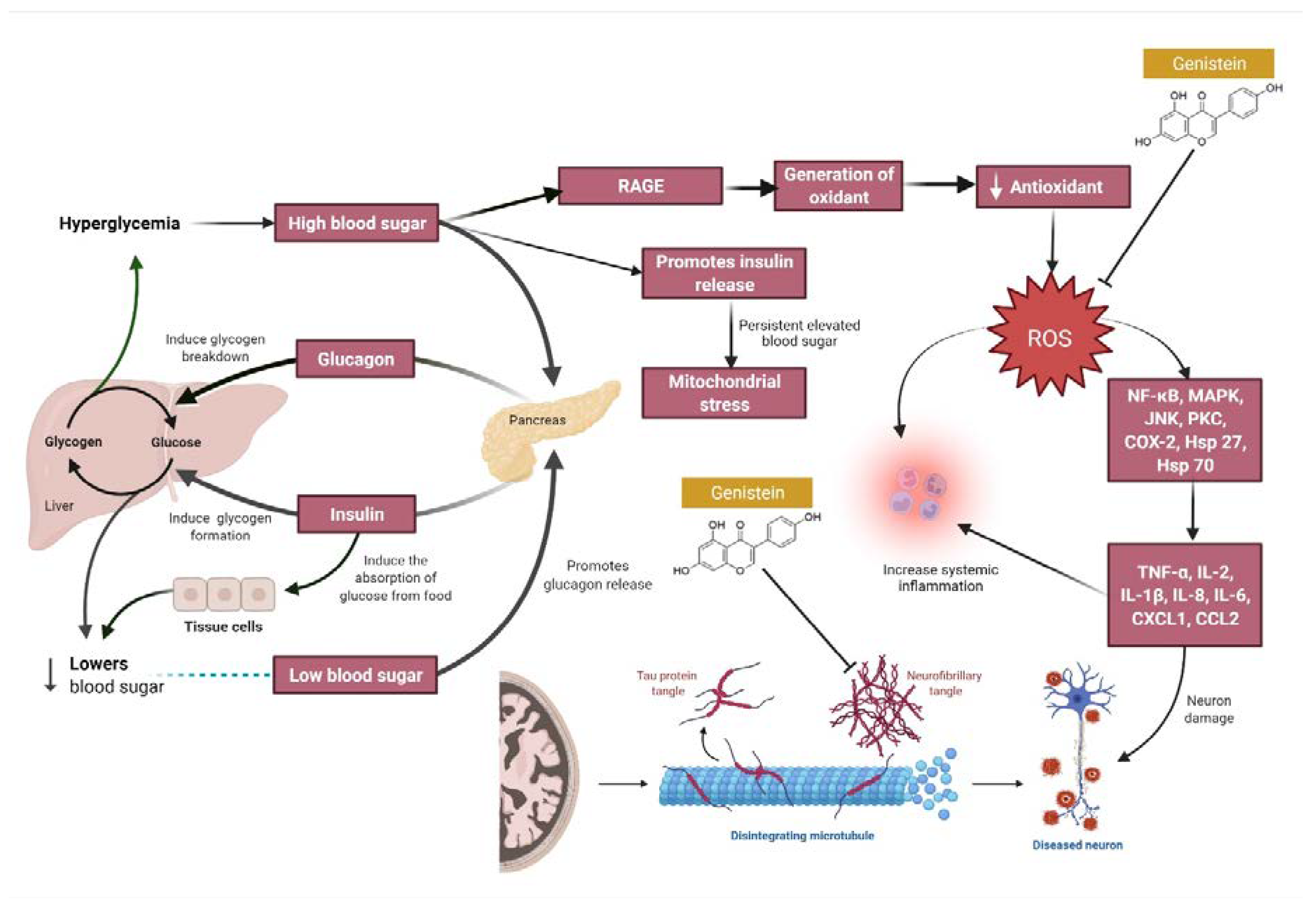 Molecules 27 00265 g004 Molecules 27 00265 g004