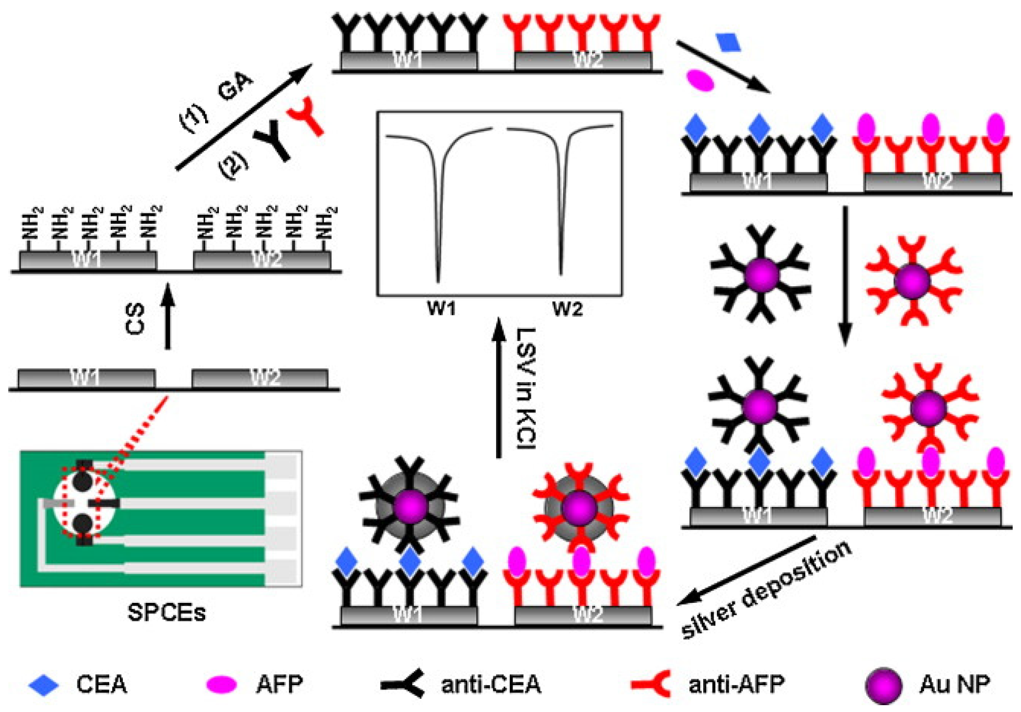 Molecules 27 00267 g004 Molecules 27 00267 g004