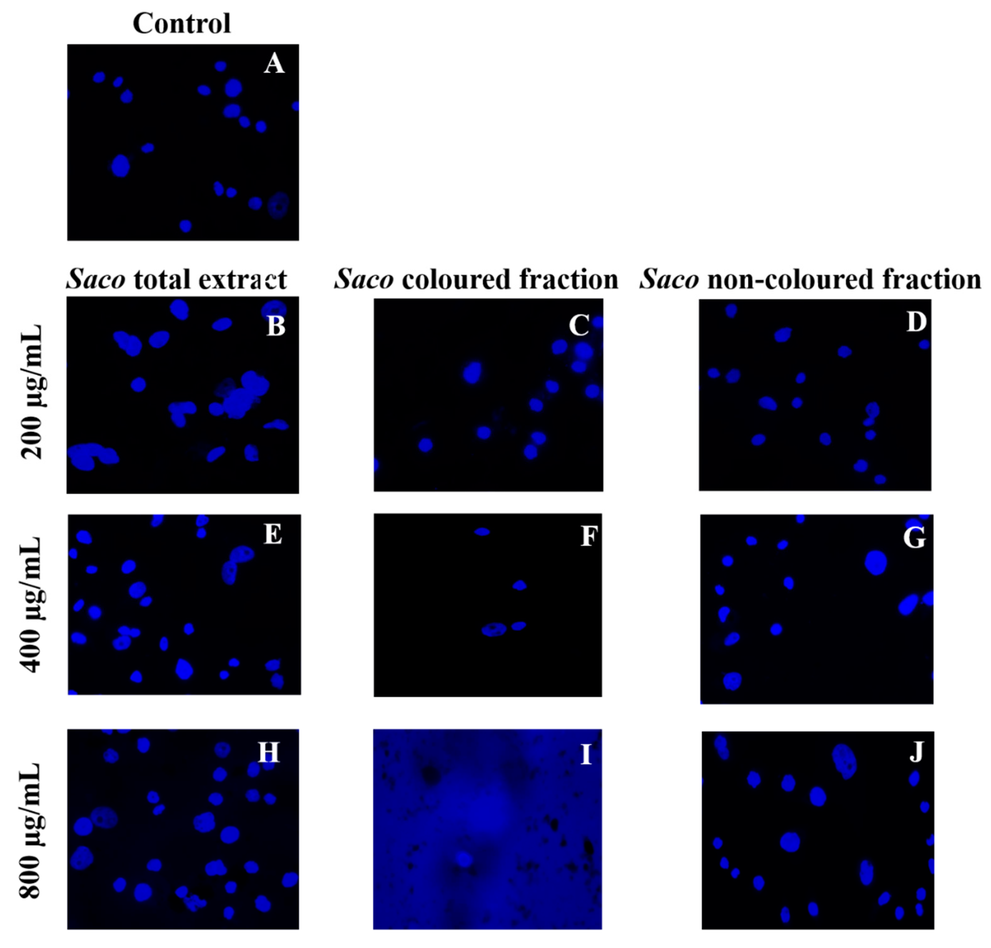 Molecules 27 00268 g005