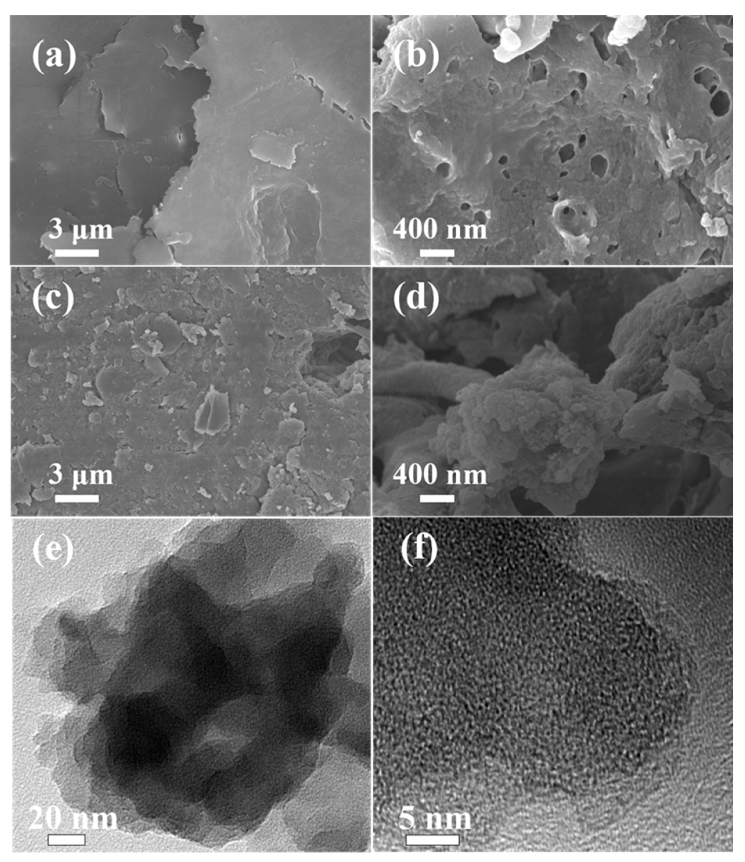 Molecules 27 00269 g004 550