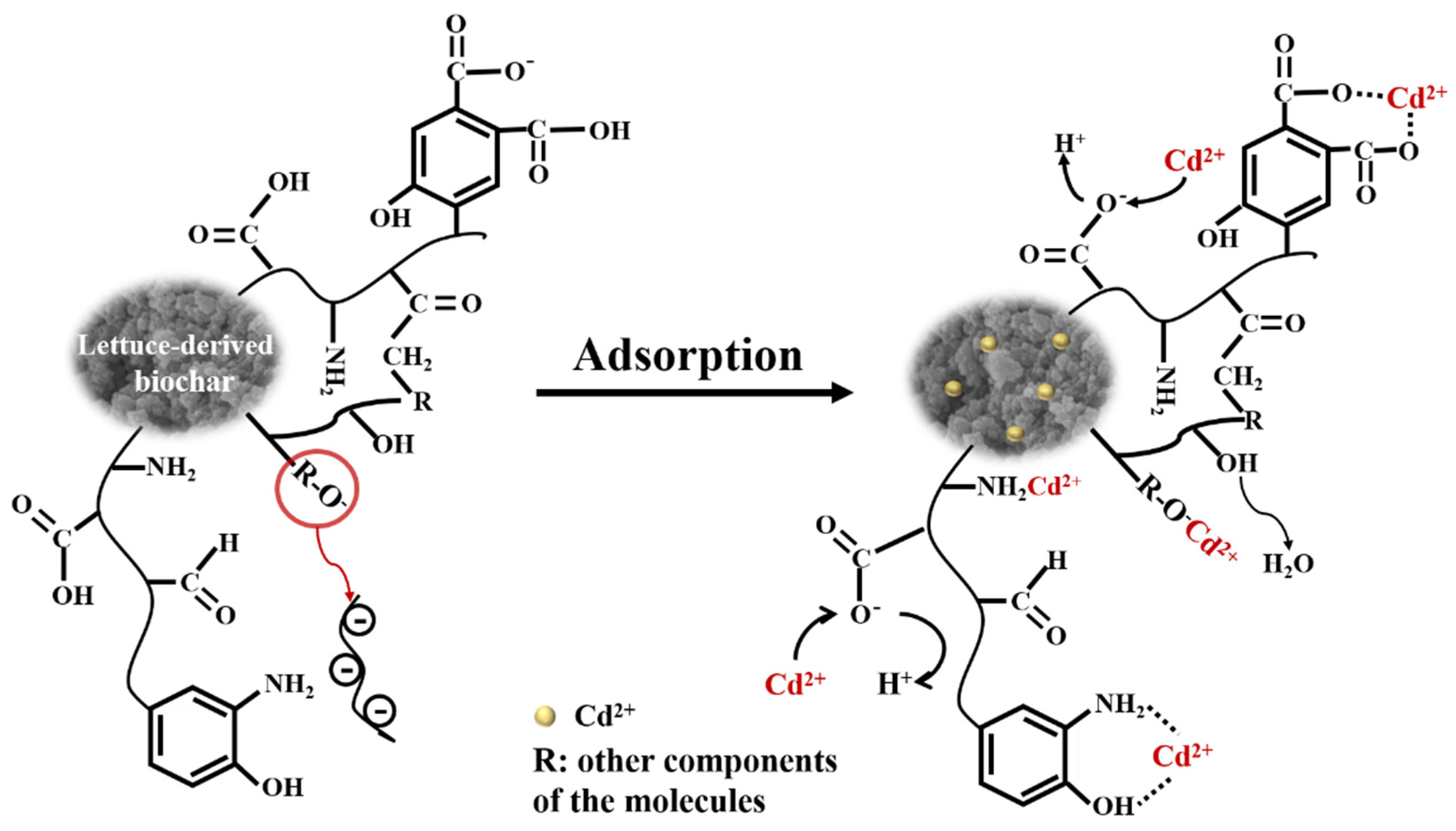 Molecules 27 00269 g010 550