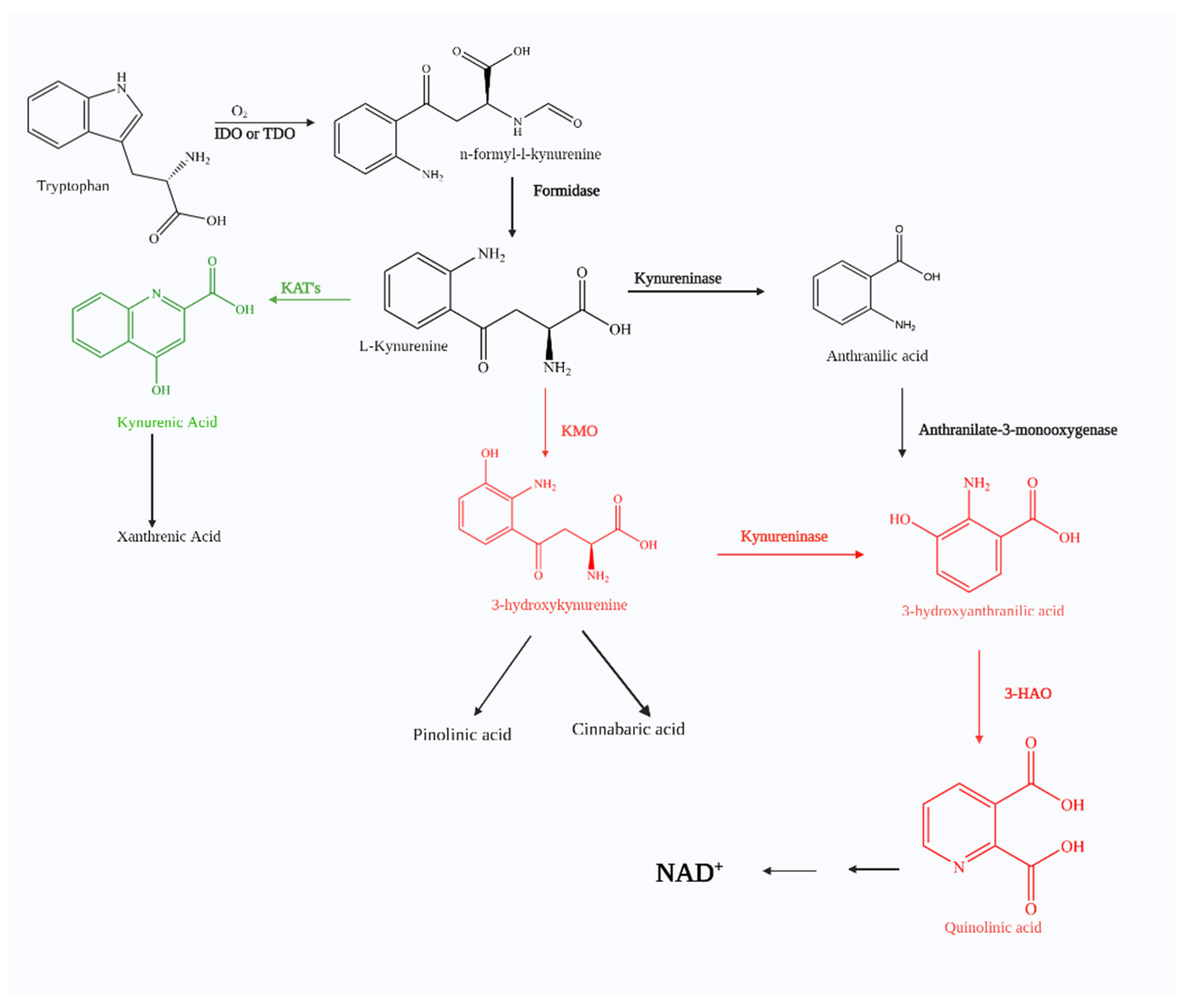 Molecules 27 00273 g001 Molecules 27 00273 g001