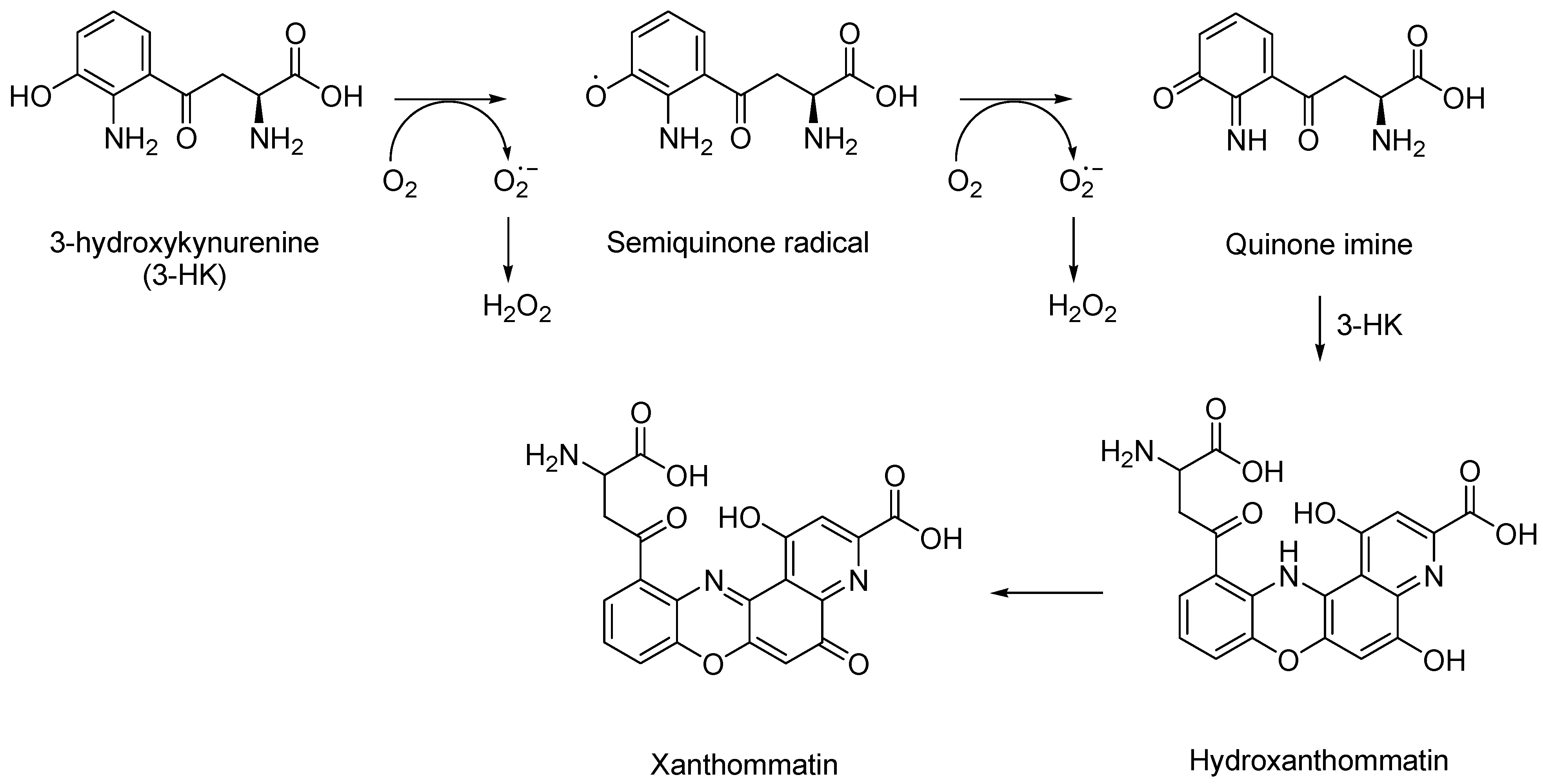 Molecules 27 00273 g004 Molecules 27 00273 g004